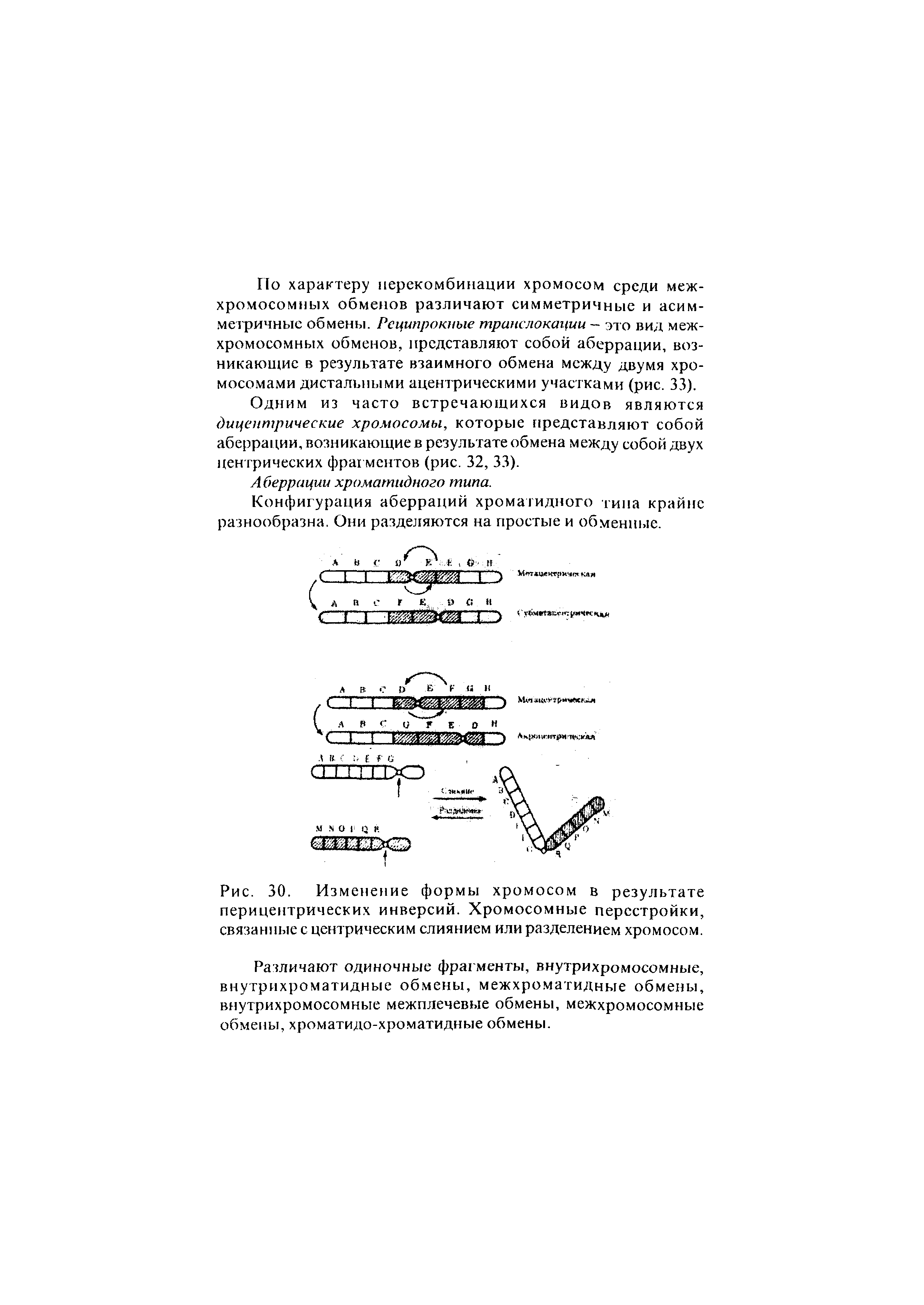 Рис. 30. Изменение формы хромосом в результате перицентрических инверсий. Хромосомные перестройки, связанные с центрическим слиянием или разделением хромосом.