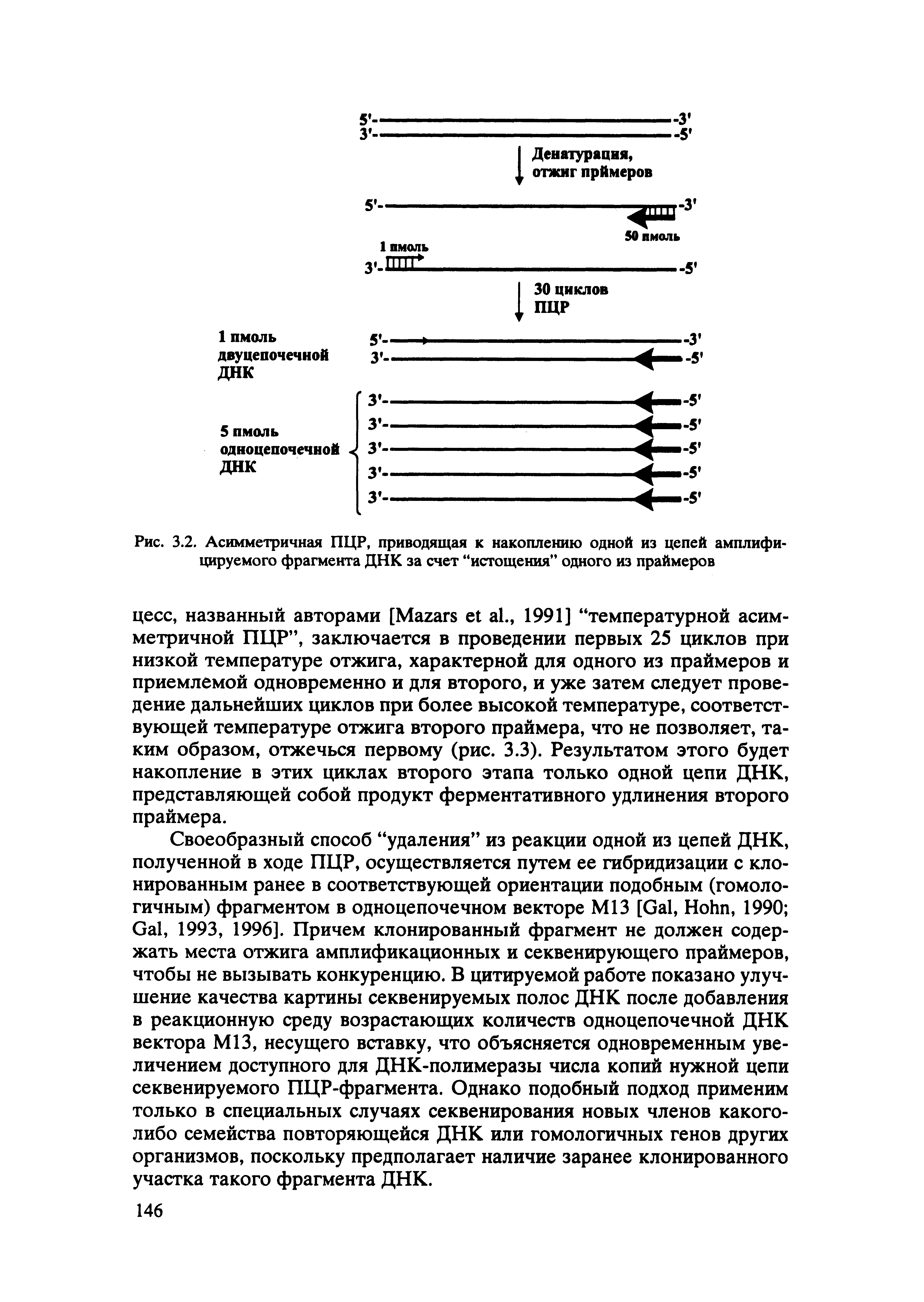 Рис. 3.2. Асимметричная ПЦР, приводящая к накоплению одной из цепей амплифи-цируемого фрагмента ДНК за счет истощения одного из праймеров...