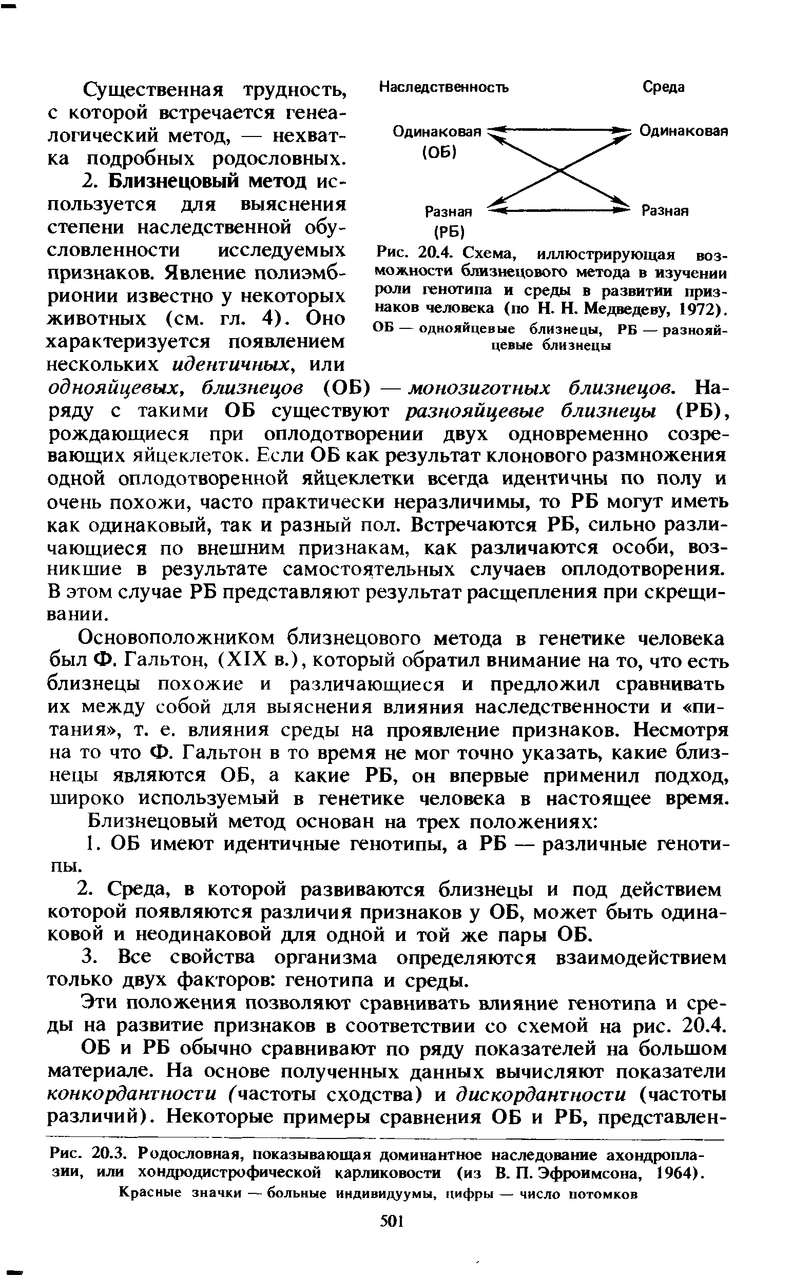 Рис. 20.4. Схема, иллюстрирующая возможности близнецового метода в изучении роли генотипа и среды в развитии признаков человека (по Н. Н. Медведеву, 1972). ОБ — однояйцевые близнецы, РБ — разнояйцевые близнецы...