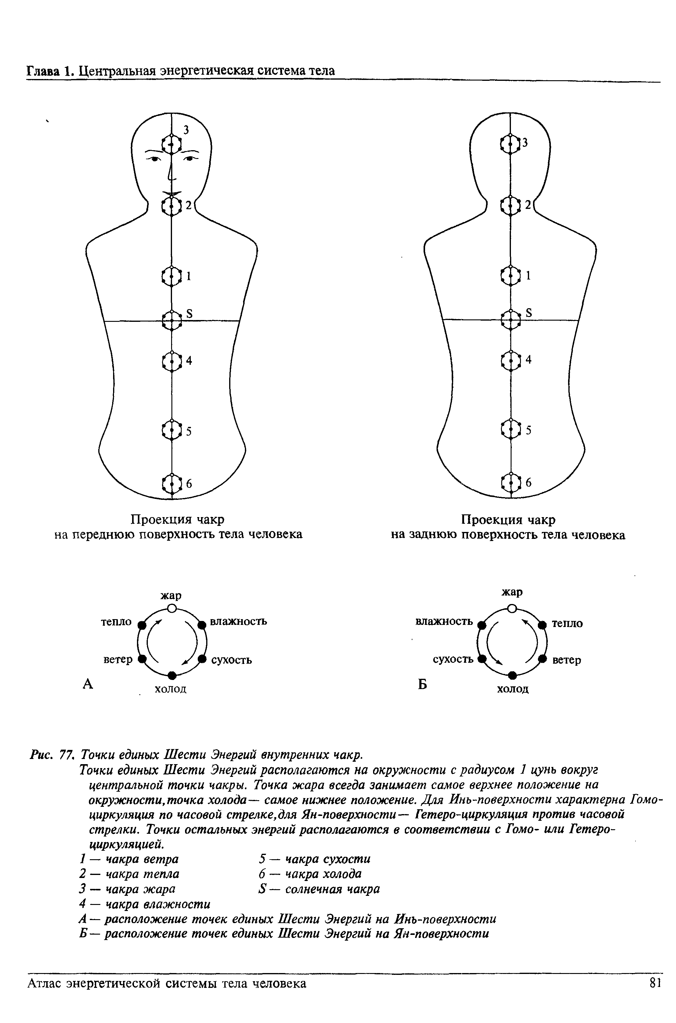 Рис. 77. Точки единых Шести Энергий внутренних чакр.