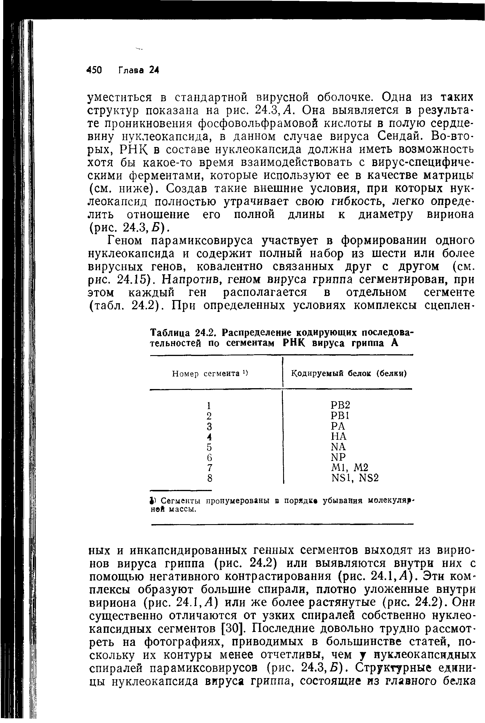 Таблица 24.2. Распределение кодирующих последовательностей по сегментам РНК вируса гриппа А...