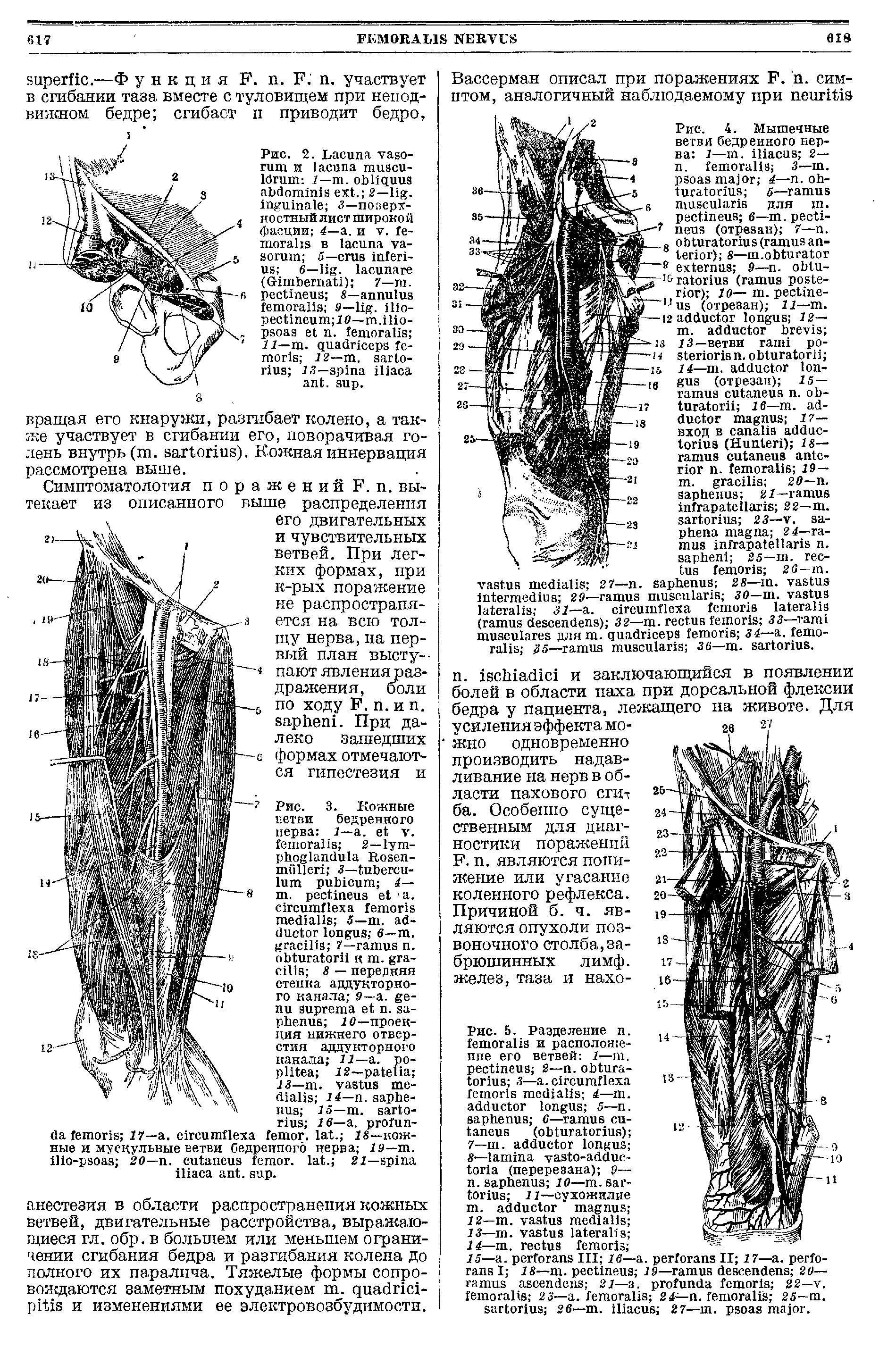 Рис. 5. Разделение п. и расположение его ветвей 1—ш. 2— . з— . 4—т. 5— . 6— ( ) ...