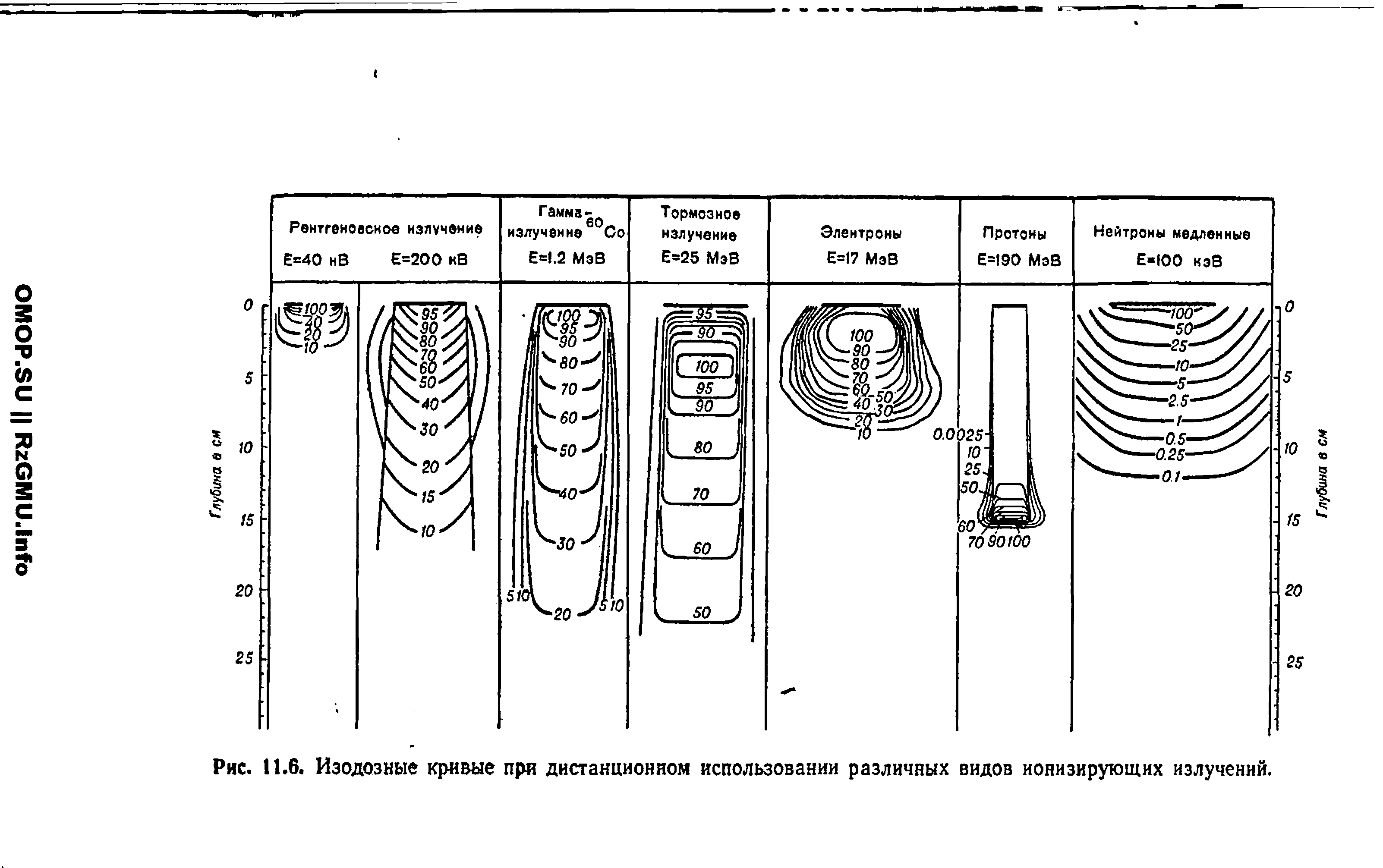 Рис. 11.6. Изодозные кривые при дистанционном использовании различных видов ионизирующих излучений.