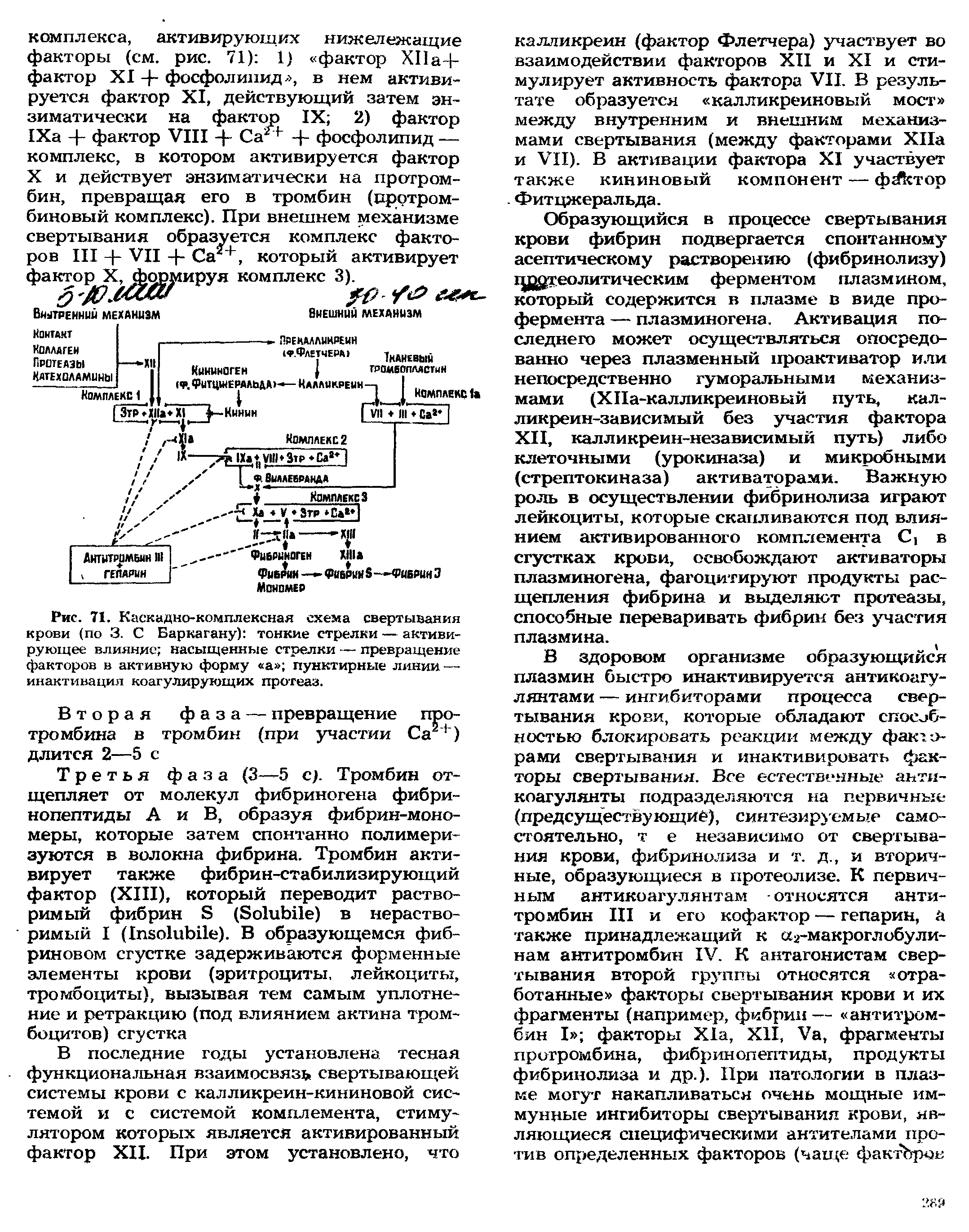 Рис. 71. Каскадно-комплексная схема свертывания крови (по 3. С Баркагану) тонкие стрелки — активирующее влияние насыщенные стрелки — превращение факторов в активную форму а пунктирные линии— инактивация коагулирующих протеаз.