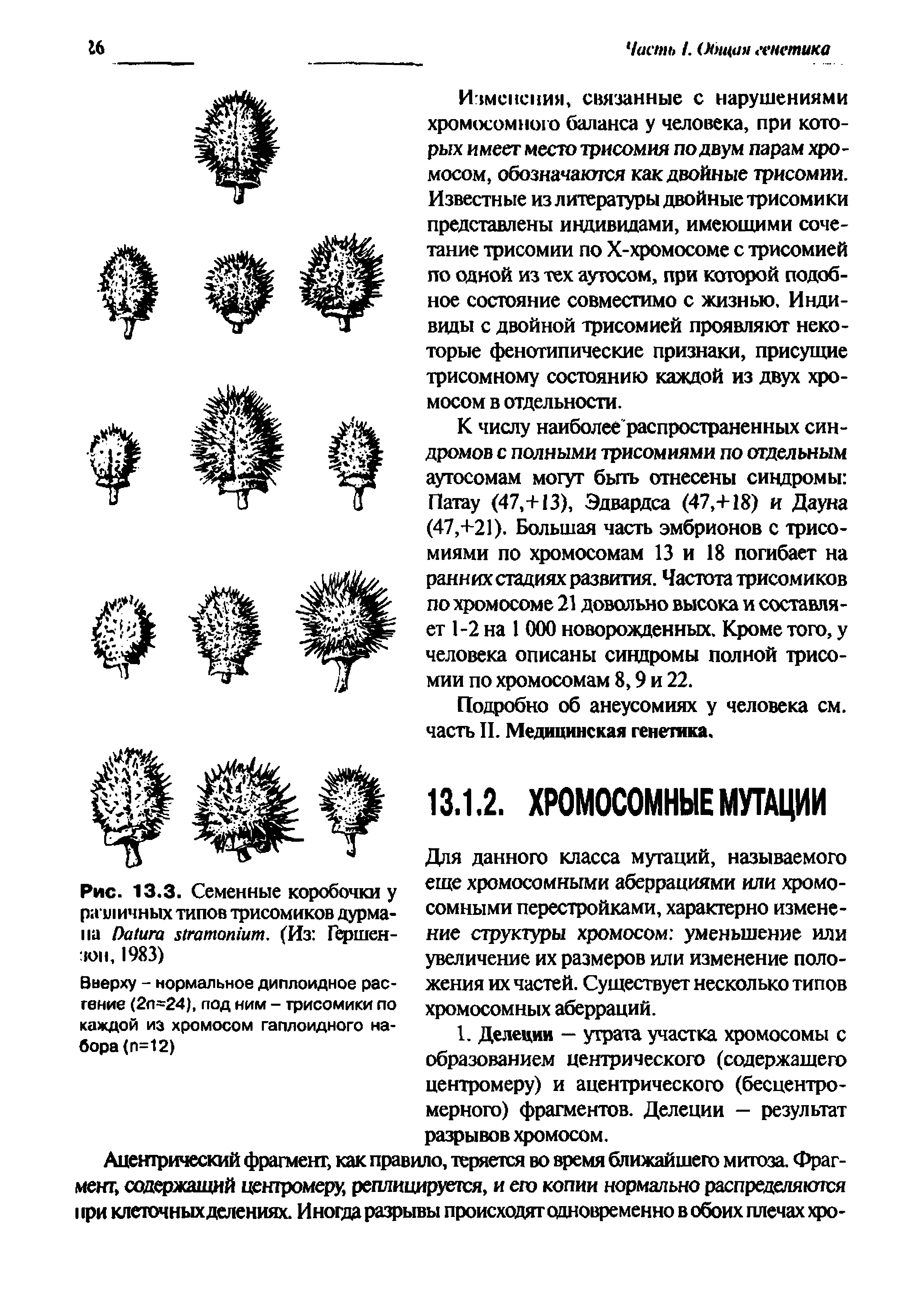 Рис. 13.3. Семенные коробочки у ичных типов трисомиков дурмана D . (Из Гершензон, 1983)...