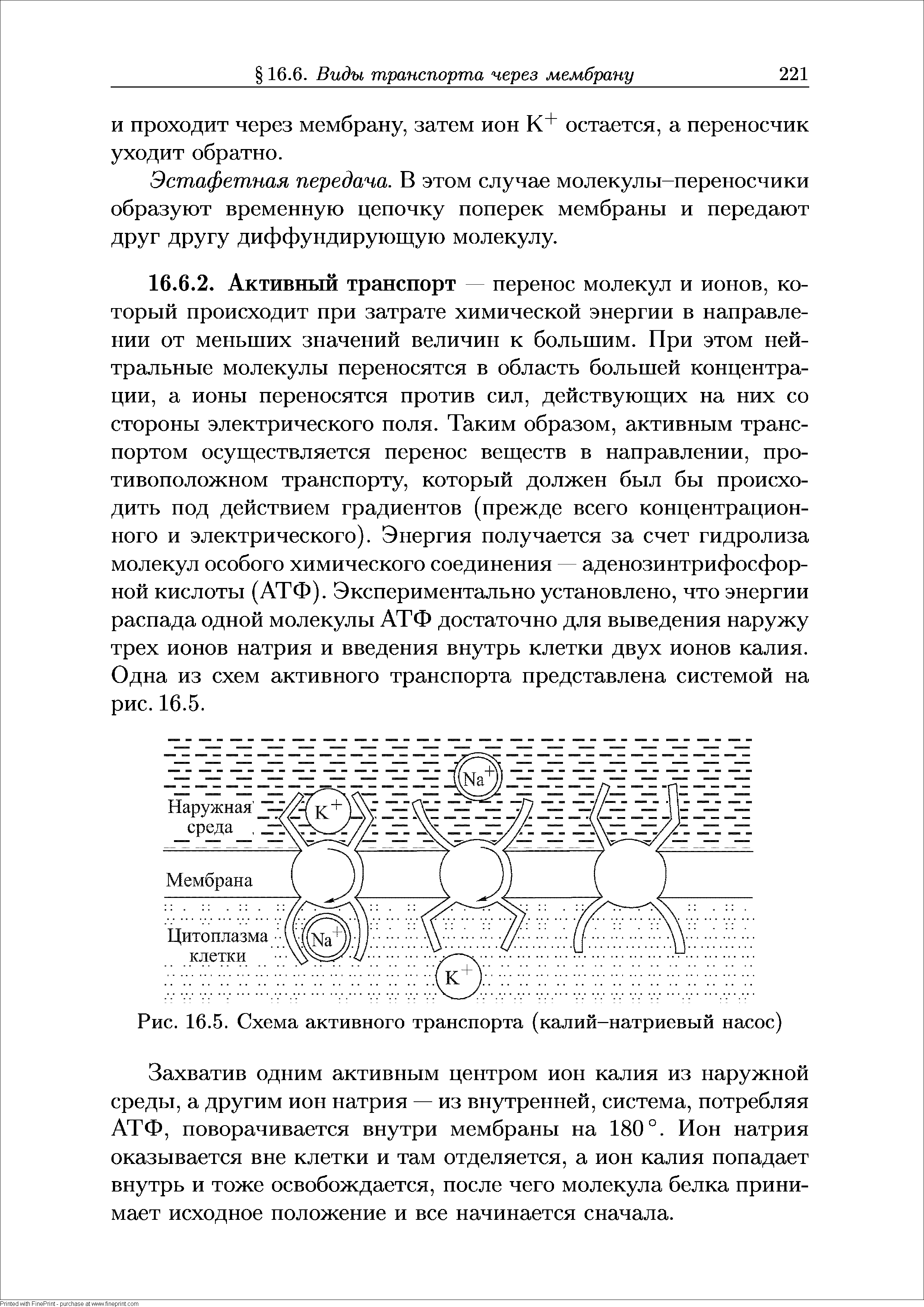 Рис. 16.5. Схема активного транспорта (калий-натриевый насос)...