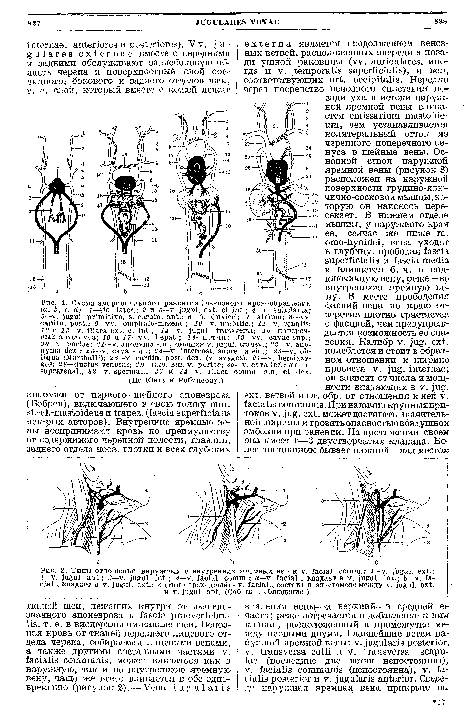 Рис. 2. Типы отношений наружных и внутренних яремных вен к . , . 1— . . . ...