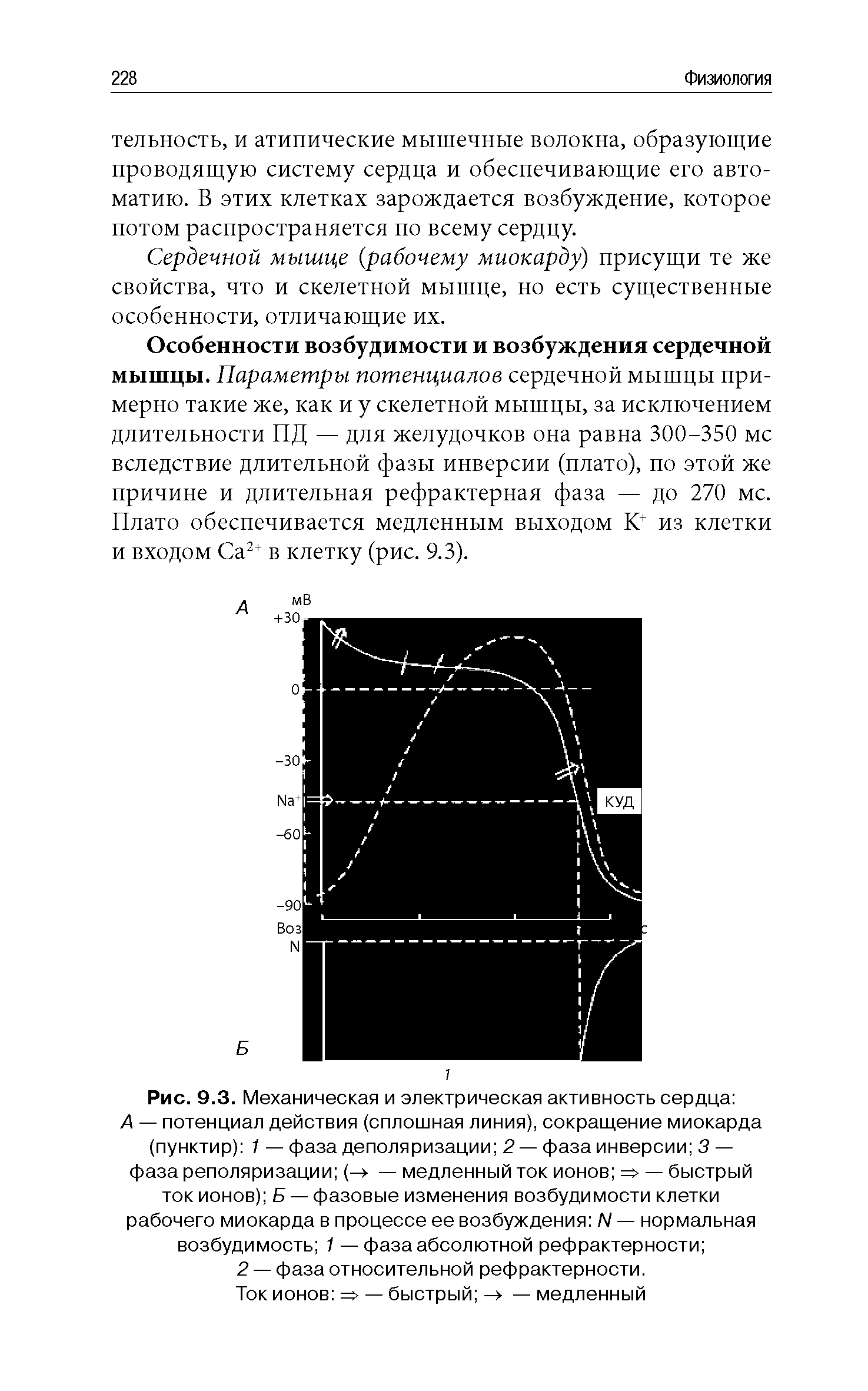 Рис. 9.3. Механическая и электрическая активность сердца А — потенциал действия (сплошная линия), сокращение миокарда (пунктир) 1 — фаза деполяризации 2 — фаза инверсии 3 — фаза реполяризации (-> — медленный ток ионов => — быстрый ток ионов) Б — фазовые изменения возбудимости клетки рабочего миокарда в процессе ее возбуждения N — нормальная возбудимость 1 — фаза абсолютной рефрактерности ...