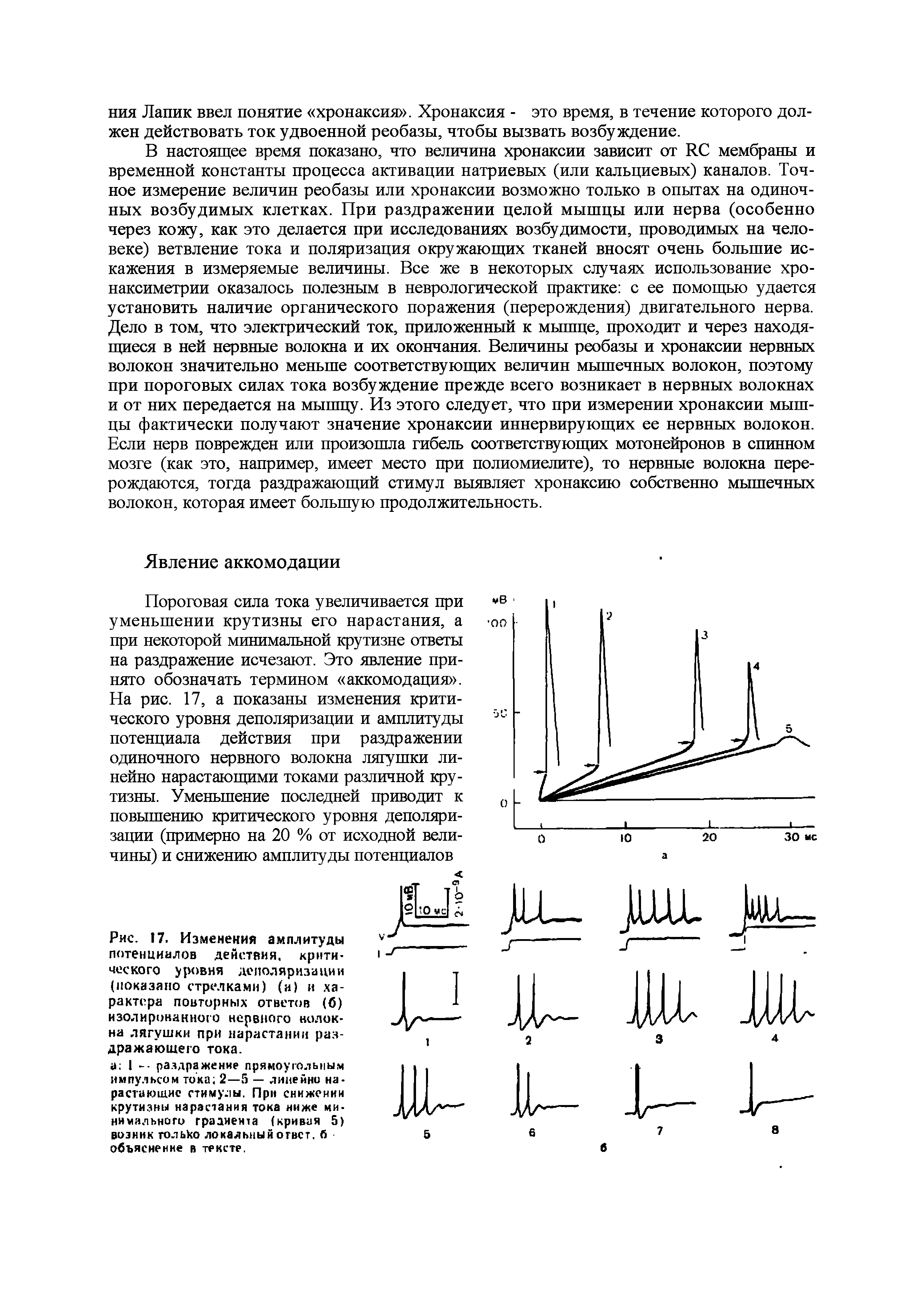 Рис. 17. Изменения амплитуды потенциалов действия, критического уровня деполяризации (показано стрелками) (и) и характера повторных ответов (б) изолированного нервного волокна лягушки при нарастании раздражающего тока.