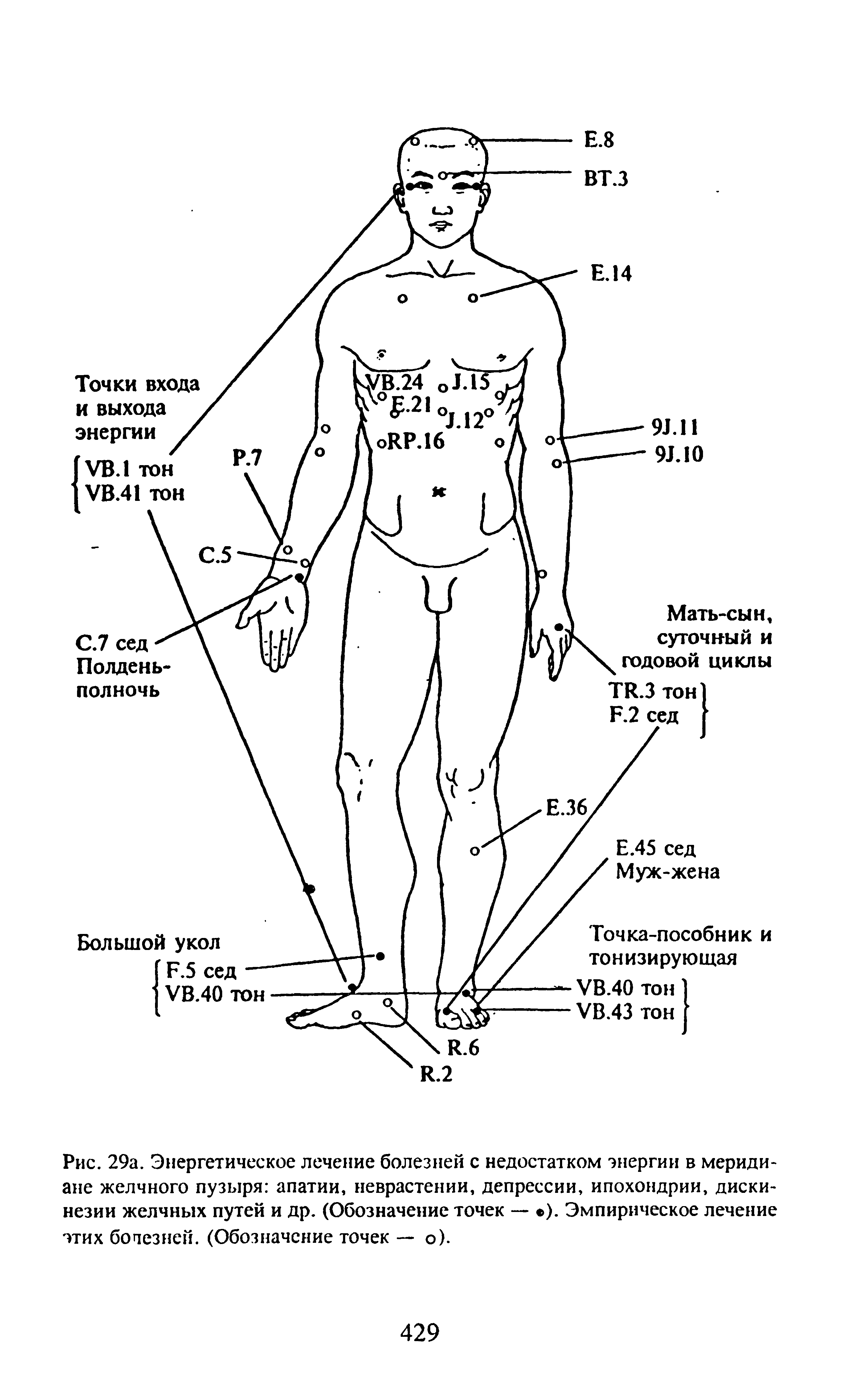 Рис. 29а. Энергетическое лечение болезней с недостатком энергии в меридиане желчного пузыря апатии, неврастении, депрессии, ипохондрии, дискинезии желчных путей и др. (Обозначение точек — ). Эмпирическое лечение этих бопезней. (Обозначение точек — о).
