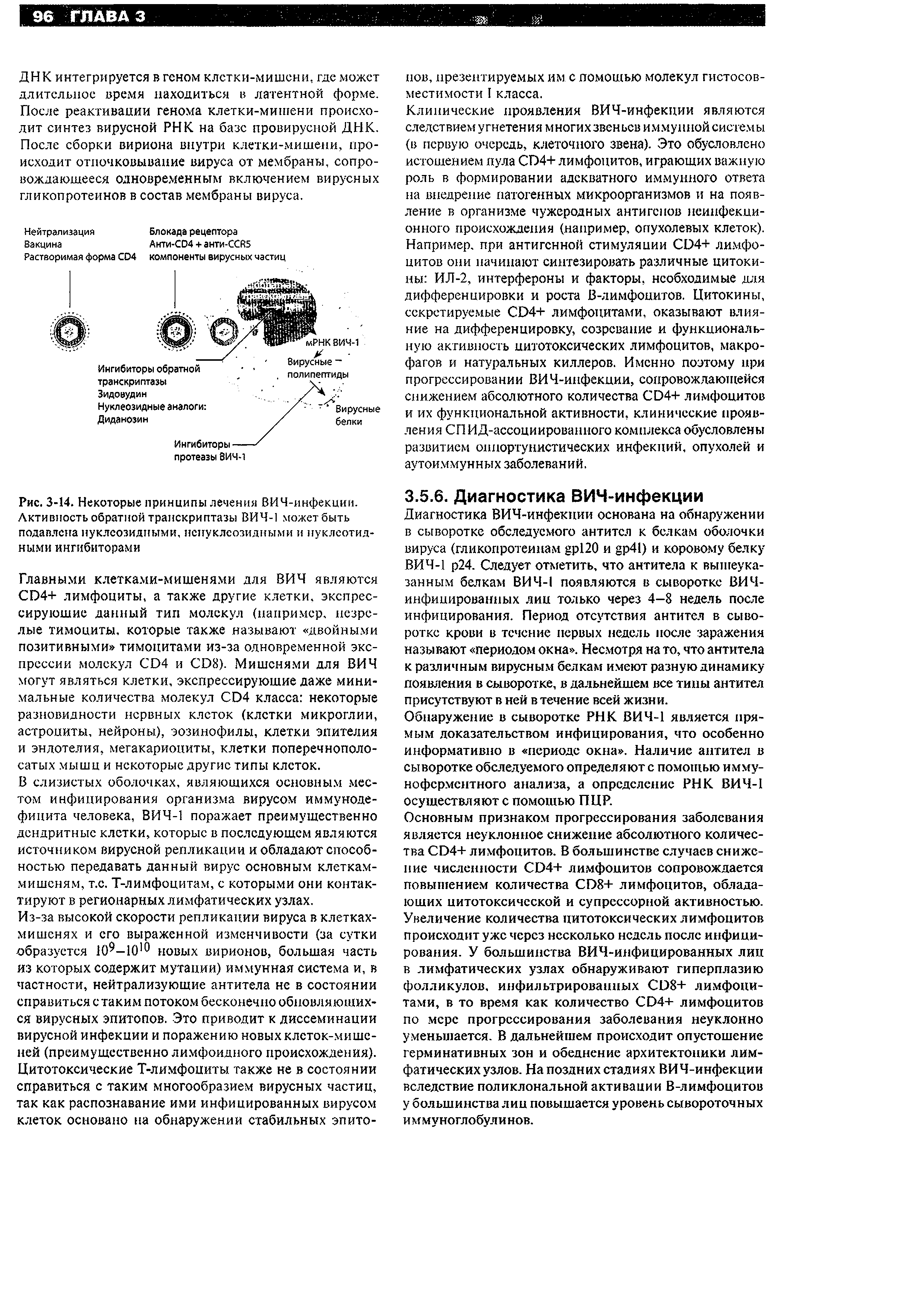 Рис. 3-14. Некоторые принципы лечения ВИЧ-инфекции. Активность обратной транскриптазы ВИЧ-1 может быть подавлена нуклеозидными, нспуклсозидными и нуклеотидными ингибиторами...