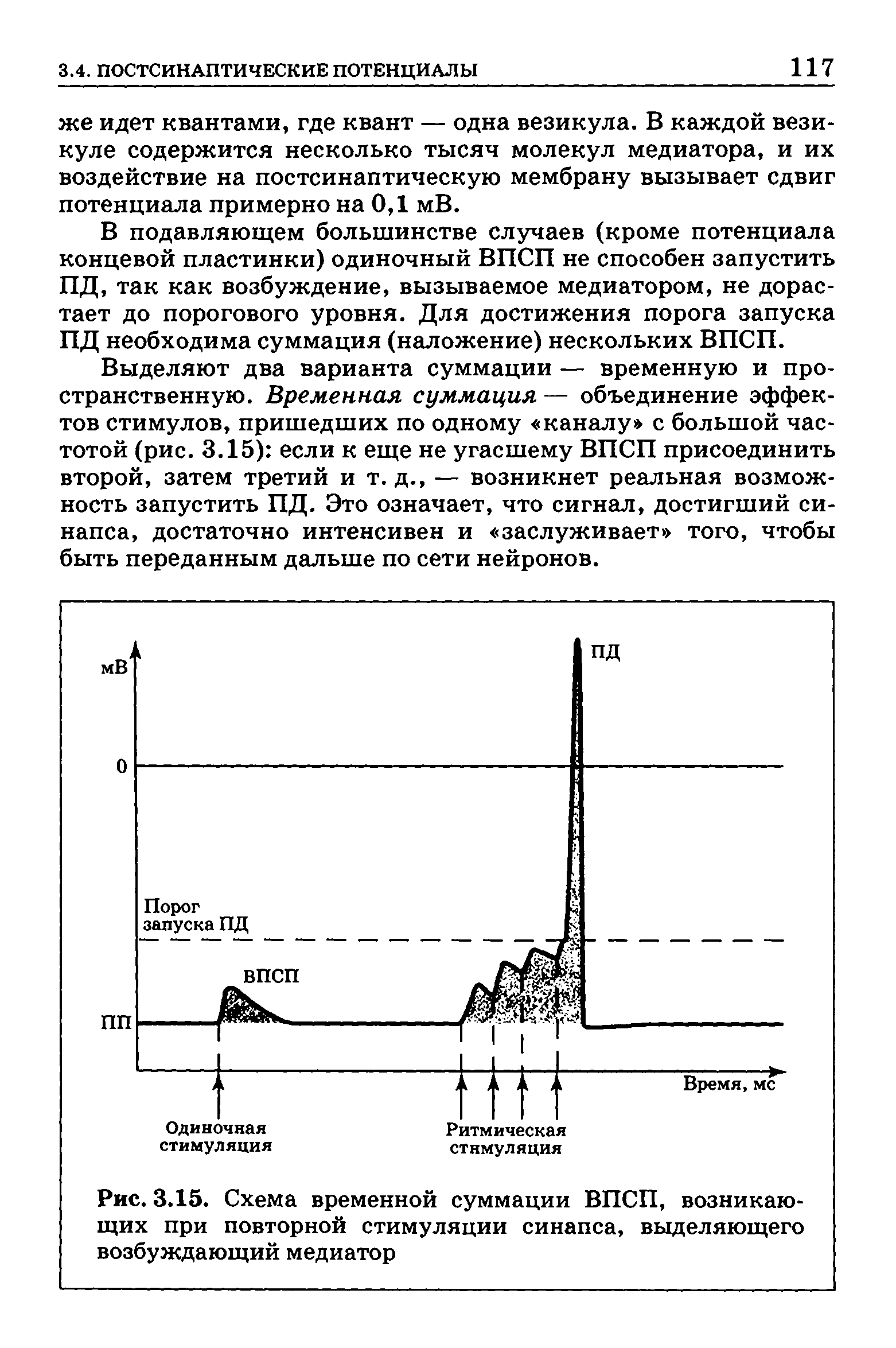 Рис. 3.15. Схема временной суммации ВПСП, возникающих при повторной стимуляции синапса, выделяющего возбуждающий медиатор...