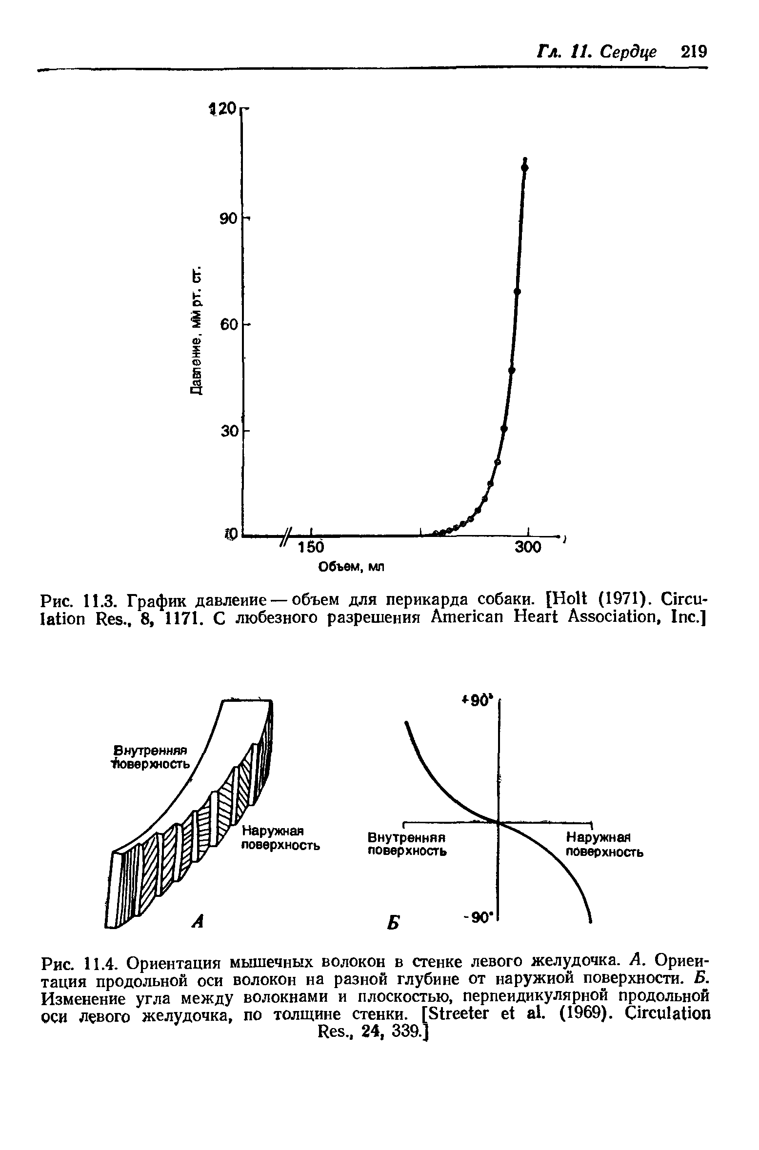 Рис. 11.4. Ориентация мышечных волокон в стенке левого желудочка. А. Ориентация продольной оси волокон на разной глубине от наружной поверхности. Б. Изменение угла между волокнами и плоскостью, перпендикулярной продольной оси левого желудочка, по толщине стенки. [S . (1969). C ...