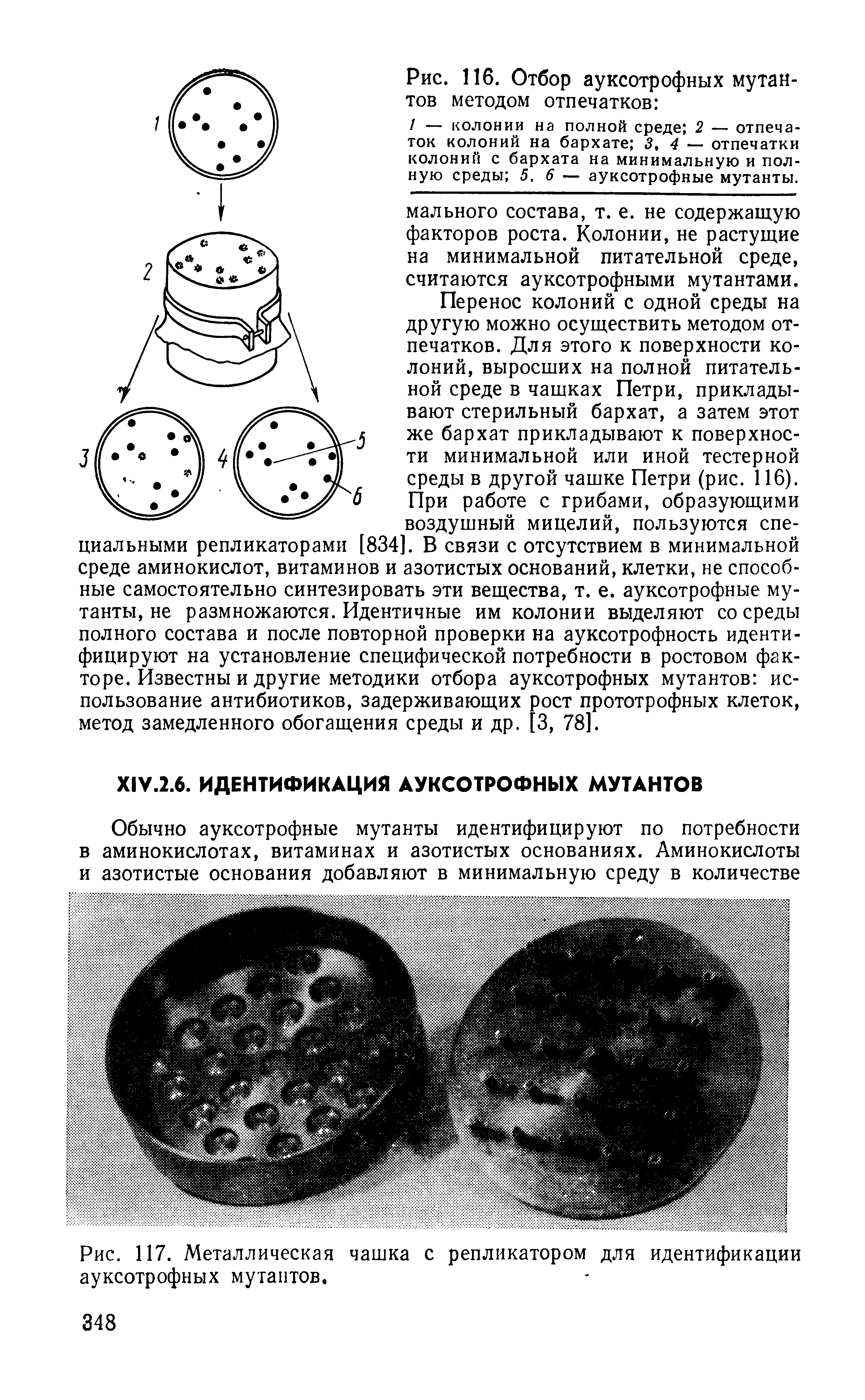 Рис. 117. Металлическая чашка с репликатором для идентификации ауксотрофных мутантов.