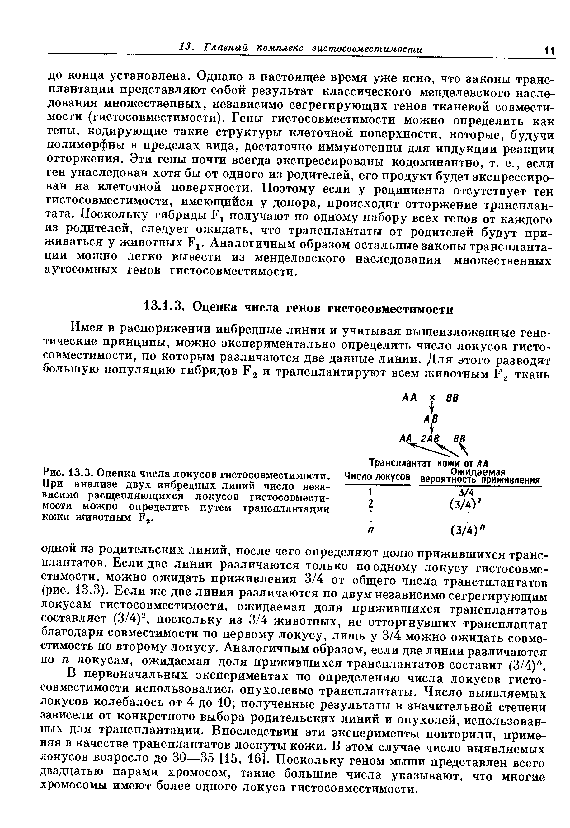 Рис. 13.3. Оценка числа локусов гистосовместимости. При анализе двух инбредных линий число независимо расщепляющихся локусов гистосовместимости можно определить путем трансплантации кожи животным 1 2.