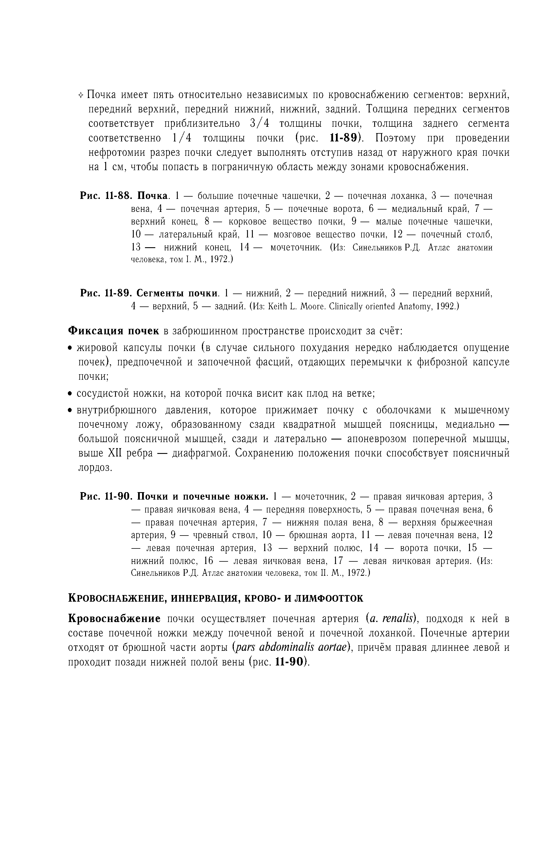 Рис. 11-88. Почка. 1 — большие почечные чашечки, 2 — почечная лоханка, 3 — почечная вена, 4 — почечная артерия, 5 — почечные ворота, 6 — медиальный край, 7 — верхний конец, 8 — корковое вещество почки, 9 — малые почечные чашечки, 10— латеральный край, 11 — мозговое вещество почки, 12 — почечный столб, 13 — нижний конец, 14— мочеточник. (Из Синельников Р.Д. Атлас анатомии человека, том I. М., 1972.)...