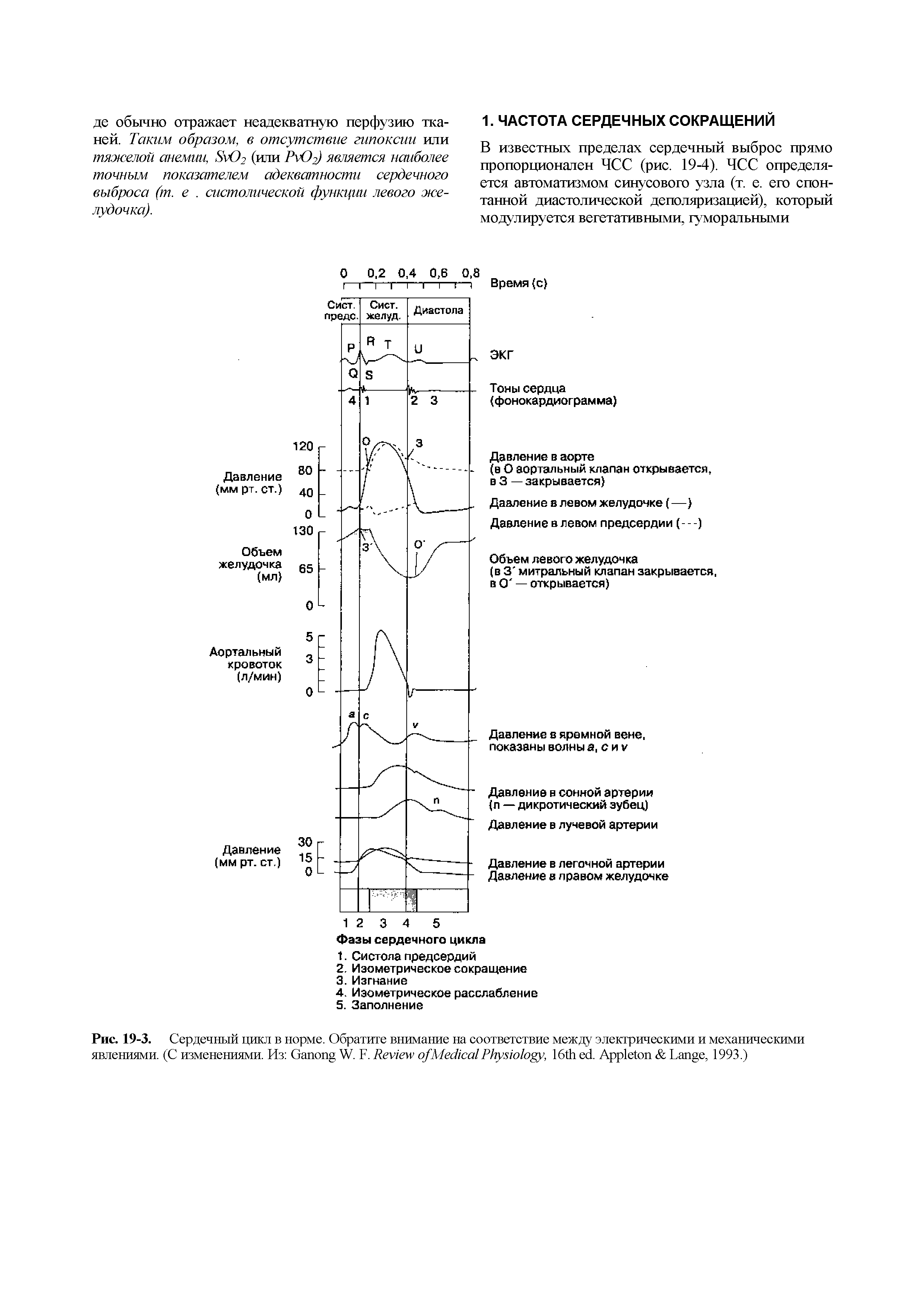 Рис. 19-3. Сердечный цикл в норме. Обратите внимание на соответствие между электрическими и механическими явлениями. (С изменениями. Из G W. F. R M P , 16 . A L , 1993.)...