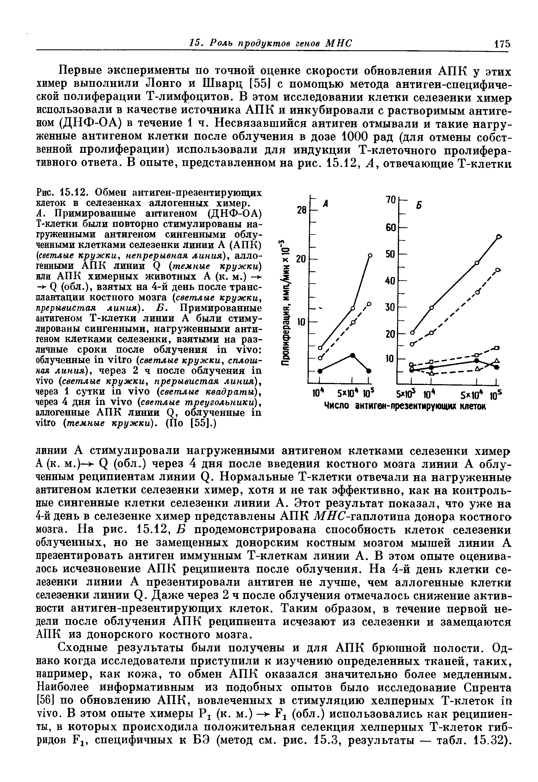 Рис. 15.12. Обмен антиген-презентирующих клеток в селезенках аллогенных химер.