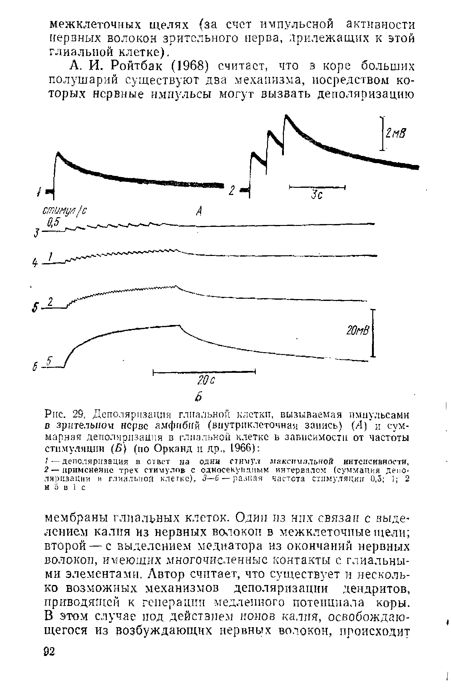 Рис. 29, Деполяризация глиальной клетки, вызываемая импульсами в зрительном нерве амфибий (внутриклеточная запись) (Л) и суммарная деполяризация в глиальной клетке в зависимости от частоты стимуляции (5) (по Орканд и др., 1966) ...