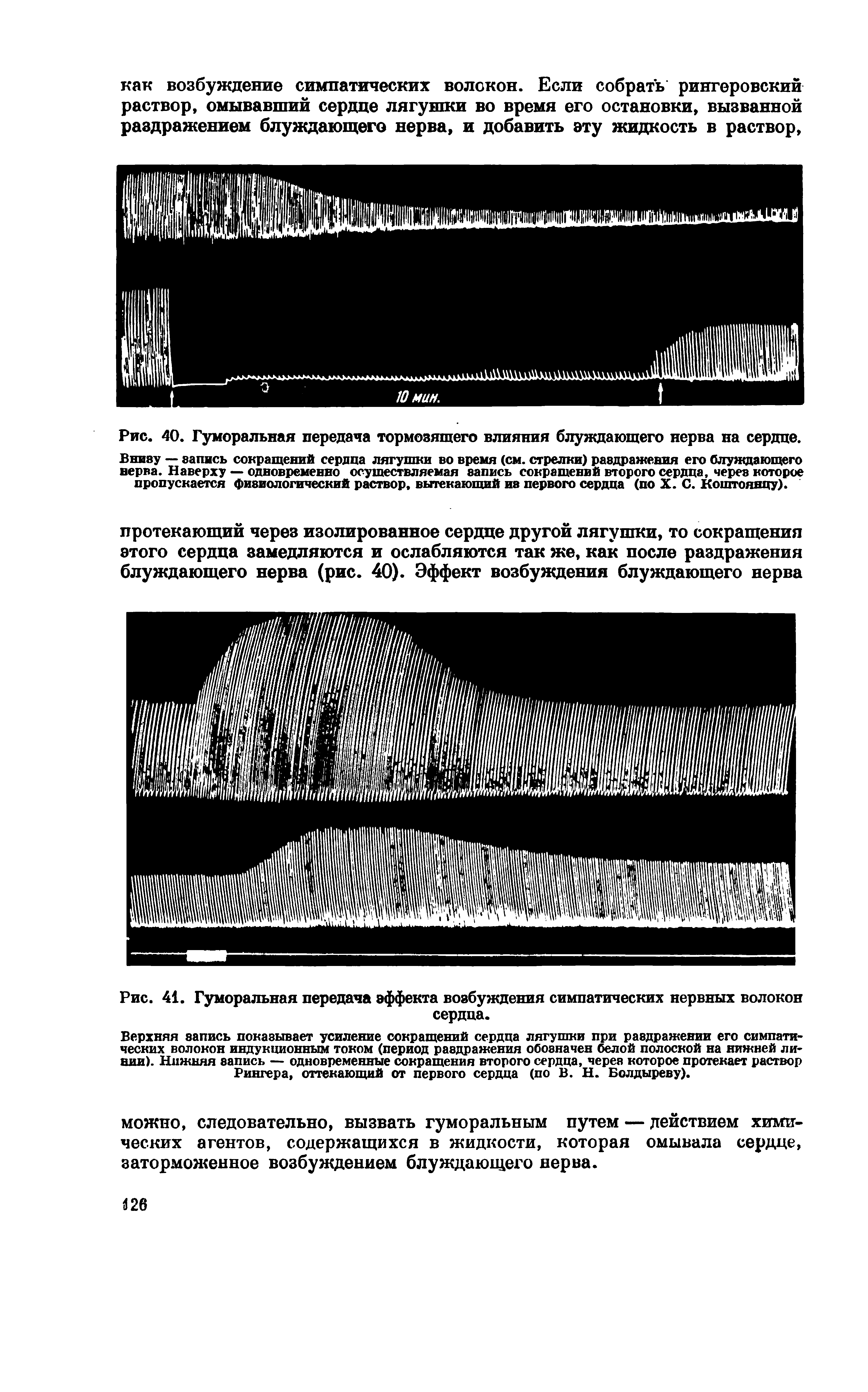 Рис. 41. Гуморальная передача эффекта возбуждения симпатических нервных волокон сердца.