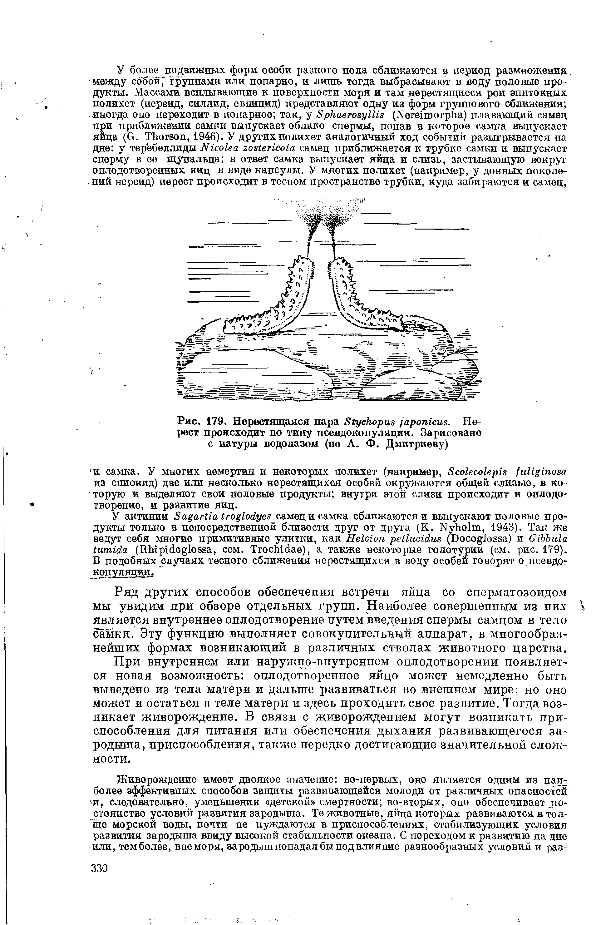 Рис. 179. Нерестящаяся пара 81ускориз ароплсиз. Нерест происходит по типу псевдокопуляции. Зарисовано с натуры водолазом (по А. Ф. Дмитриеву)...