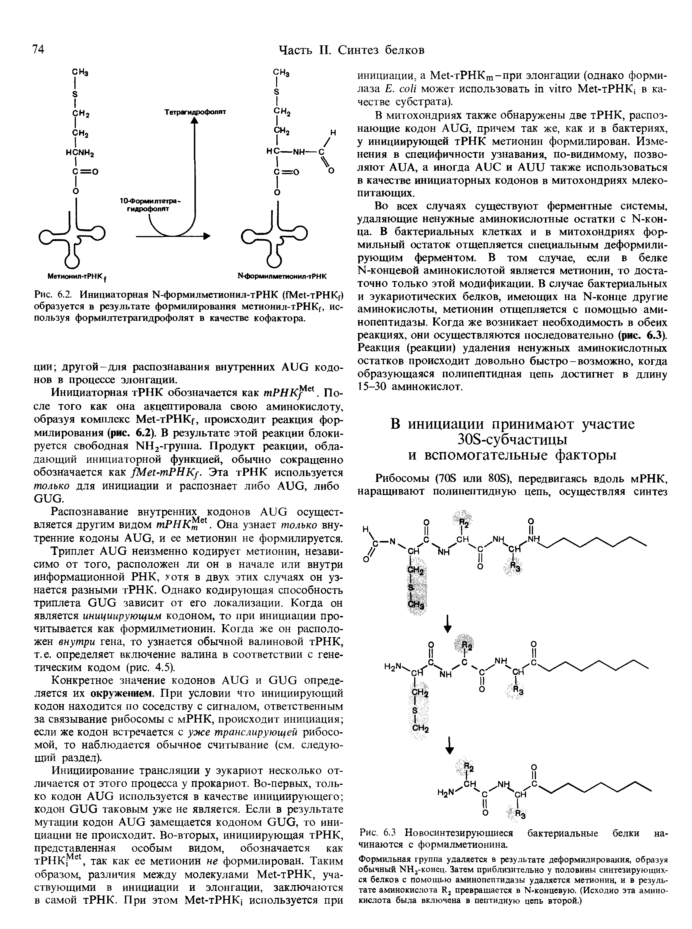 Рис. 6.2. Инициаторная Ы-формилметионил-тРНК (СМеЬтРНК ) образуется в результате формилирования метионил-тРНК , используя формилтетрагидрофолят в качестве кофактора.