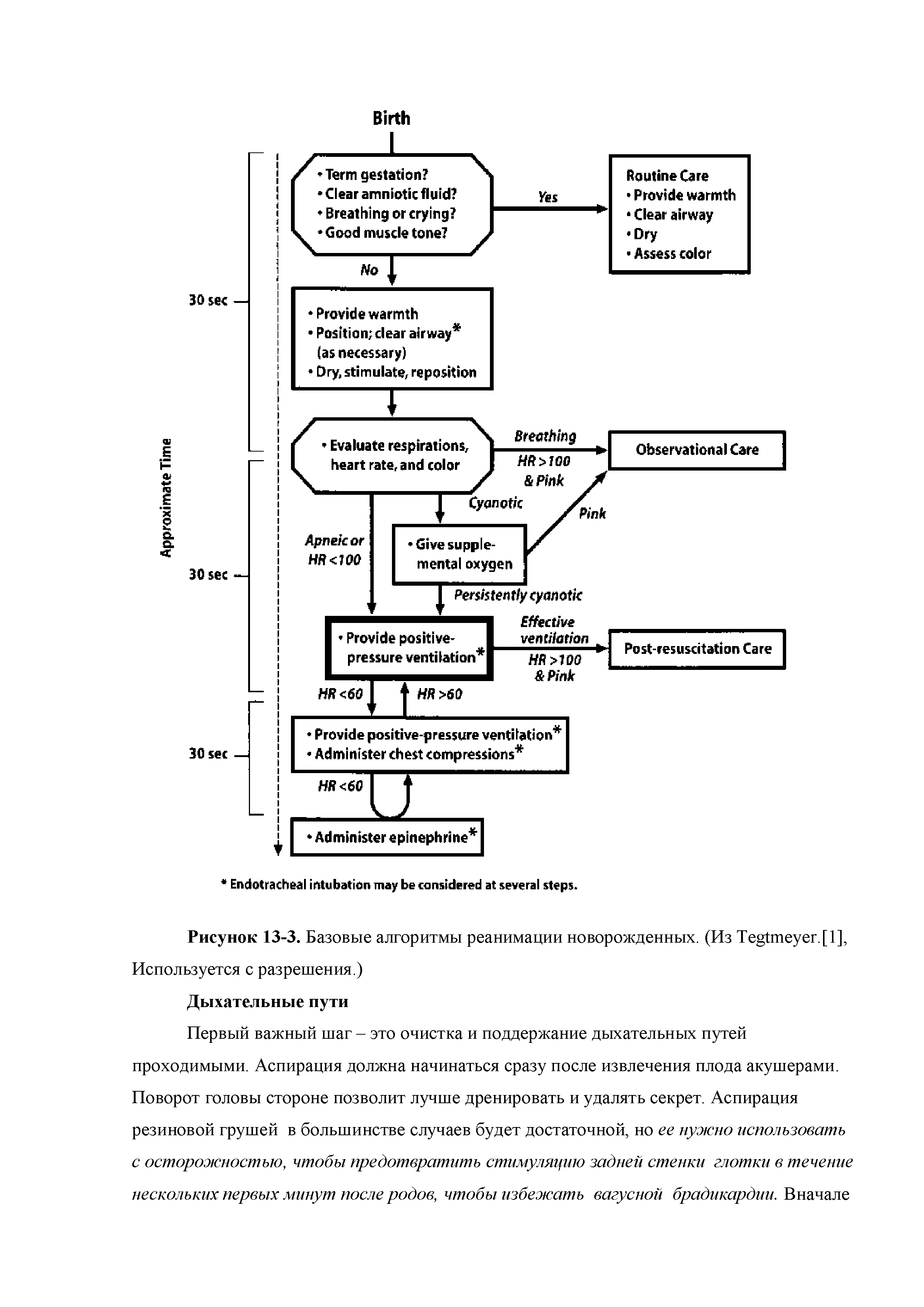 Рисунок 13-3. Базовые алгоритмы реанимации новорожденных. (Из T . ], Используется с разрешения.)...