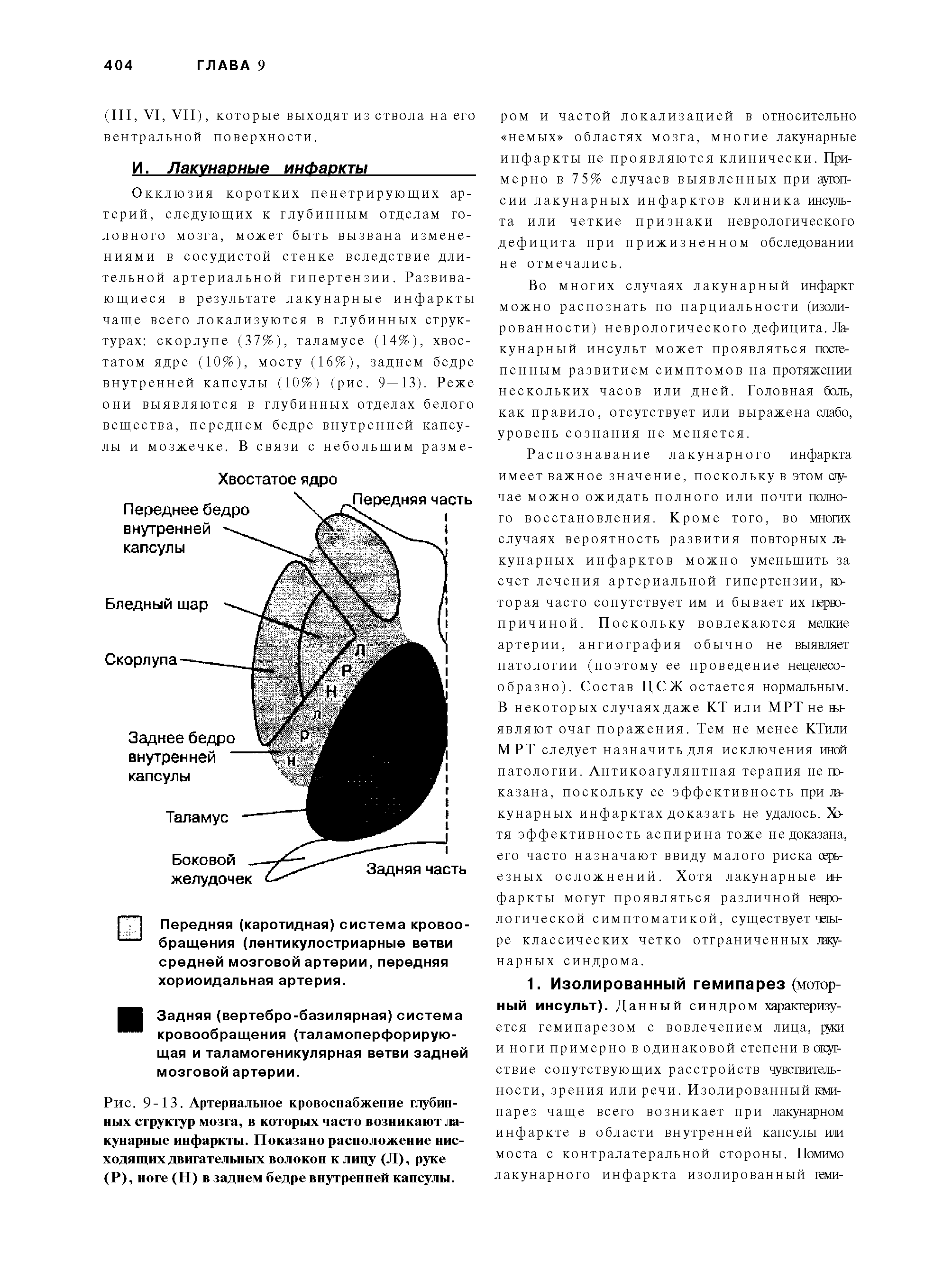 Рис. 9-13. Артериальное кровоснабжение глубинных структур мозга, в которых часто возникают лакунарные инфаркты. Показано расположение нисходящих двигательных волокон клицу (Л), руке (Р), ноге (Н) в заднем бедре внутренней капсулы.