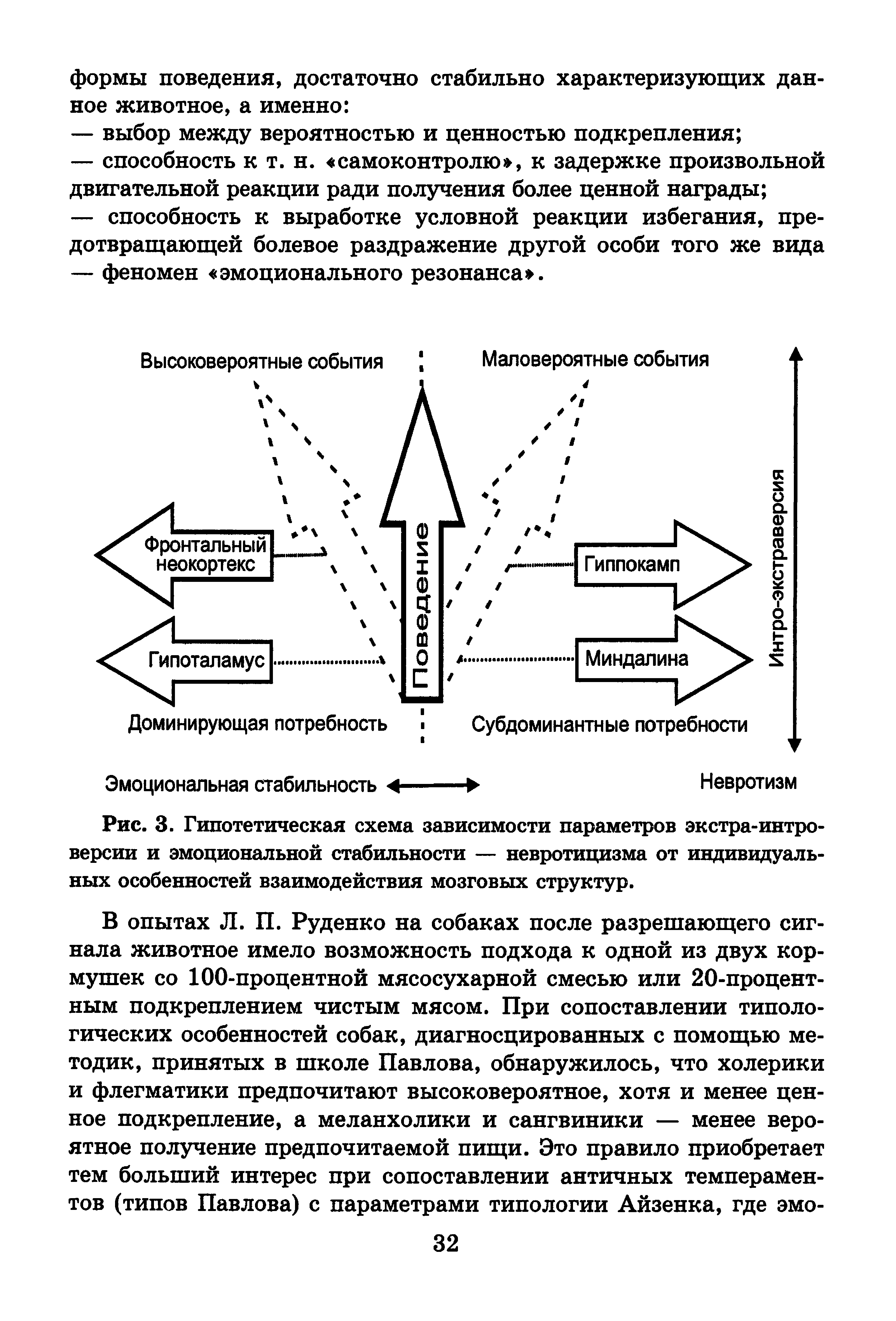 Рис. 3. Гипотетическая схема зависимости параметров экстра-интроверсии и эмоциональной стабильности — невротицизма от индивидуальных особенностей взаимодействия мозговых структур.