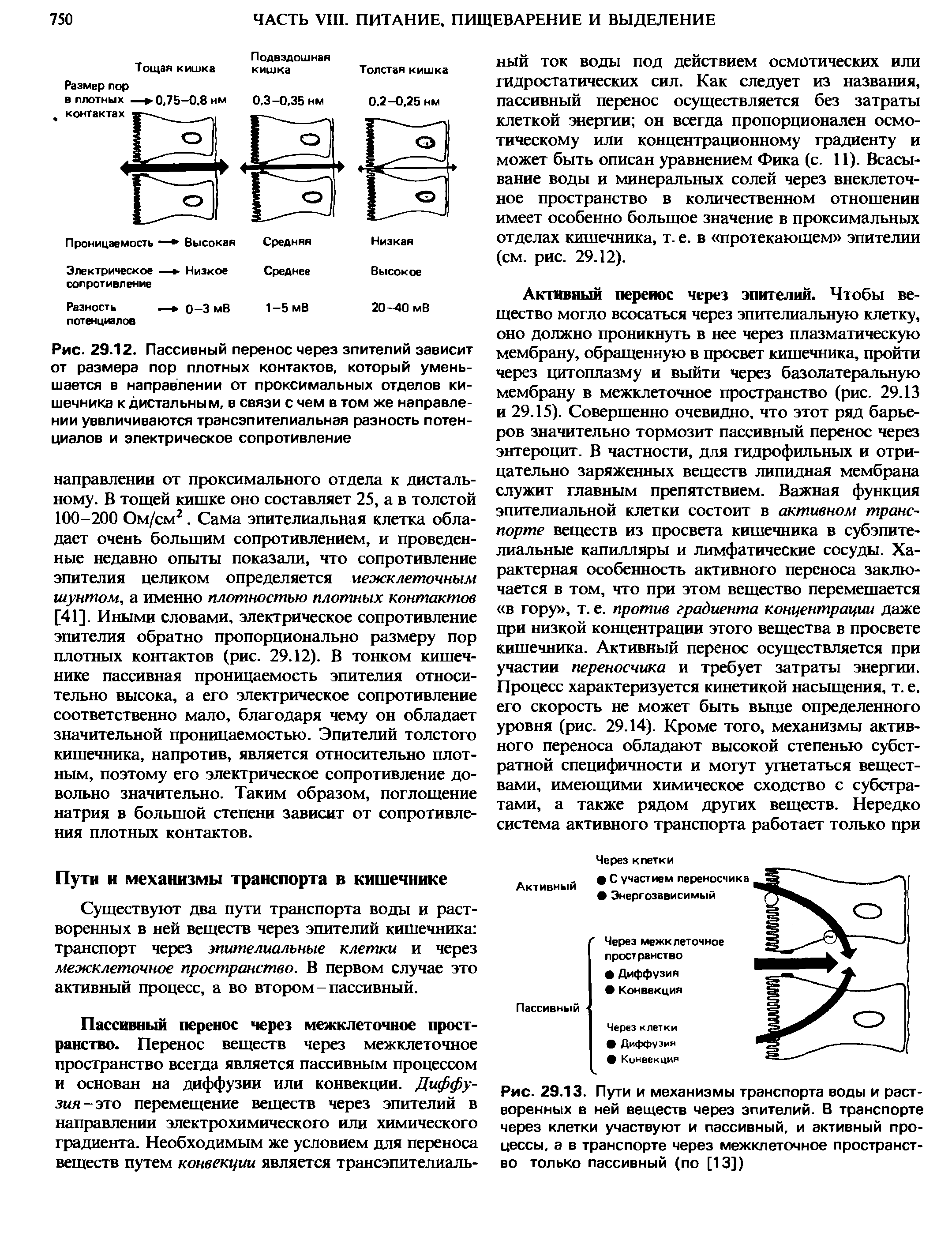 Рис. 29.13. Пути и механизмы транспорта воды и растворенных в ней веществ через эпителий. В транспорте через клетки участвуют и пассивный, и активный процессы, а в транспорте через межклеточное пространство только пассивный (по [13])...