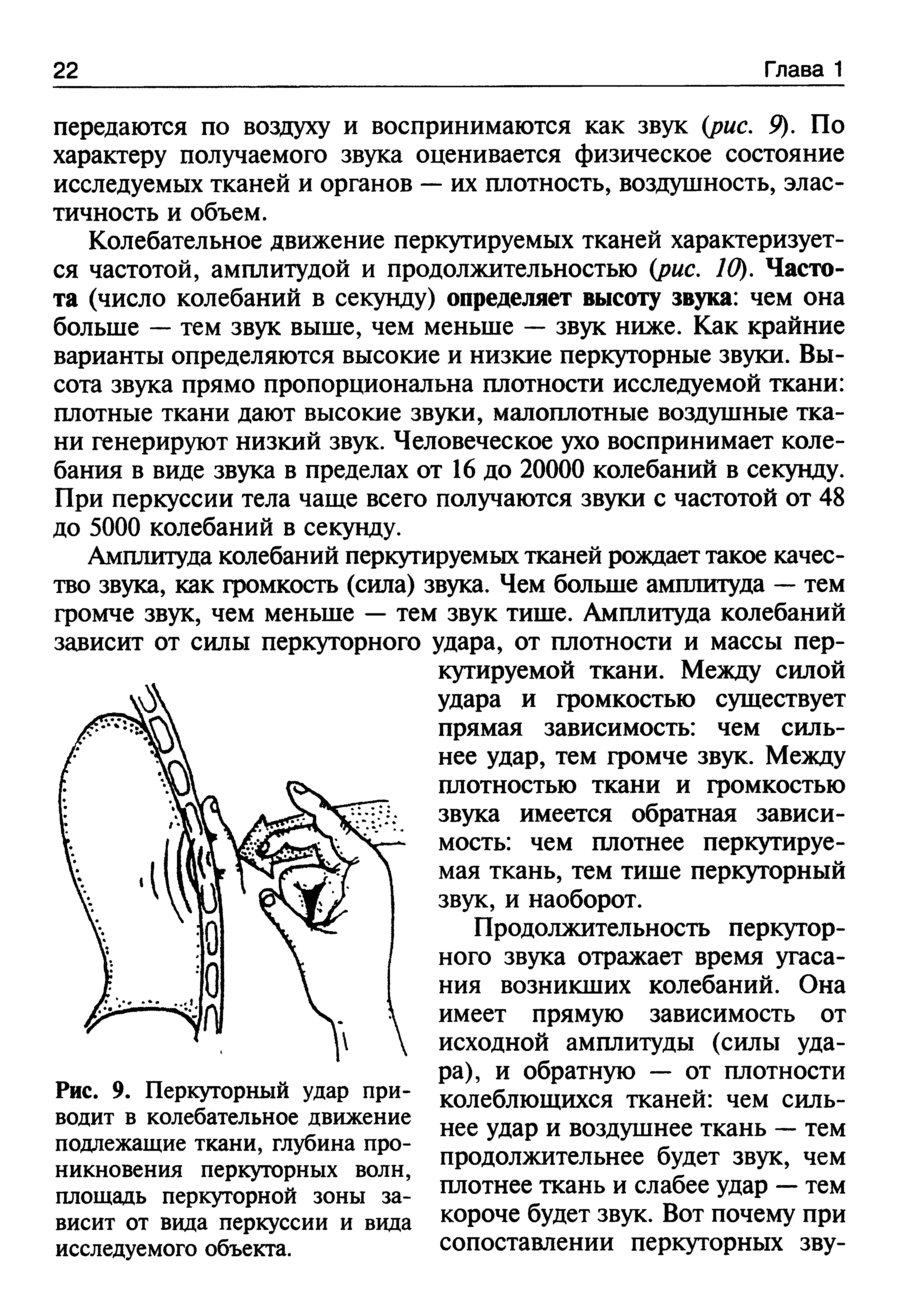 Рис. 9. Перкуторный удар приводит в колебательное движение подлежащие ткани, глубина проникновения перкуторных волн, площадь перкуторной зоны зависит от вида перкуссии и вида исследуемого объекта.