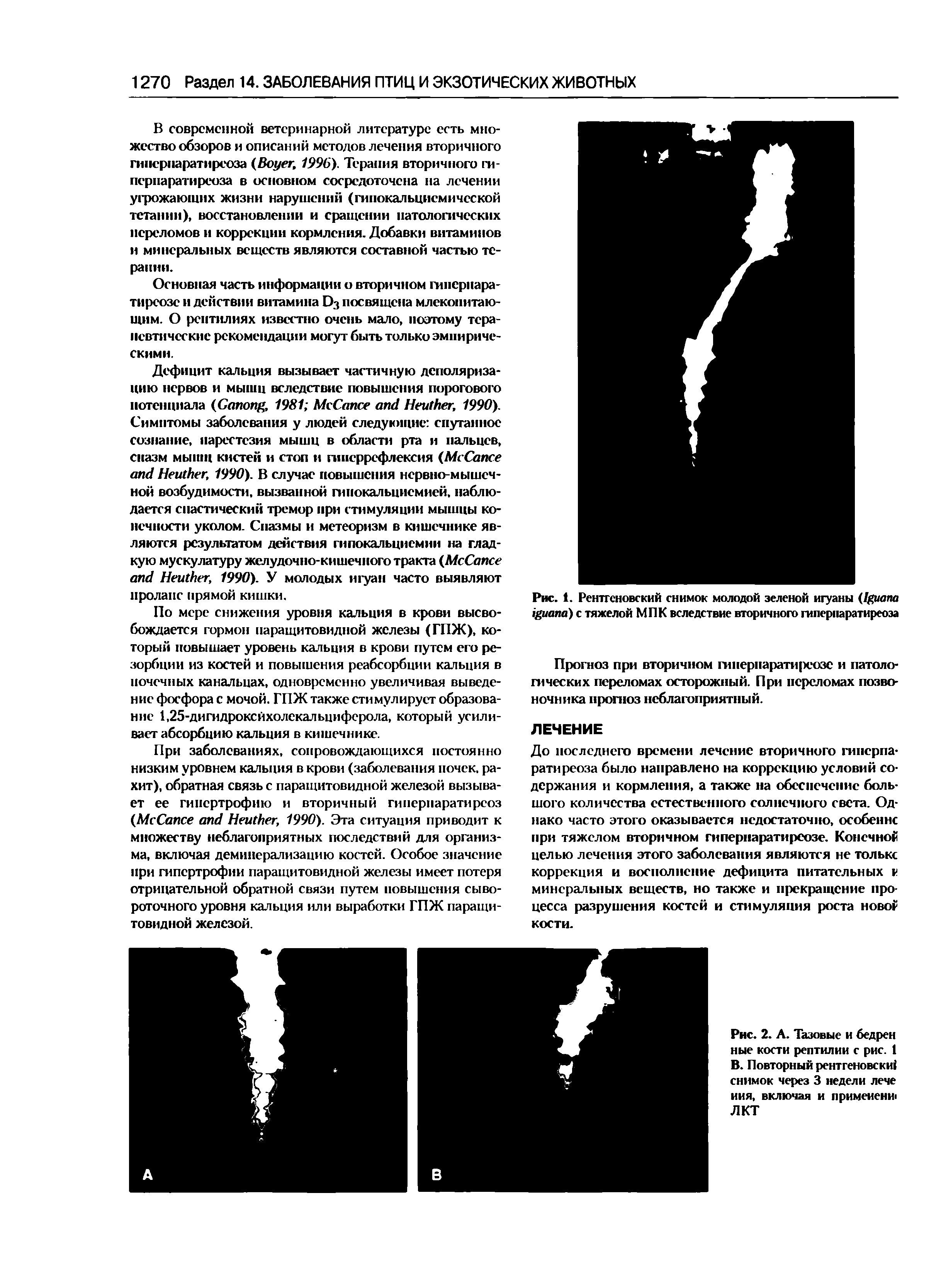 Рис. 1. Рентгеновский снимок молодой зеленой игуаны (I ) с тяжелой МПК вследствие вторичного гиперпаратиреоза...