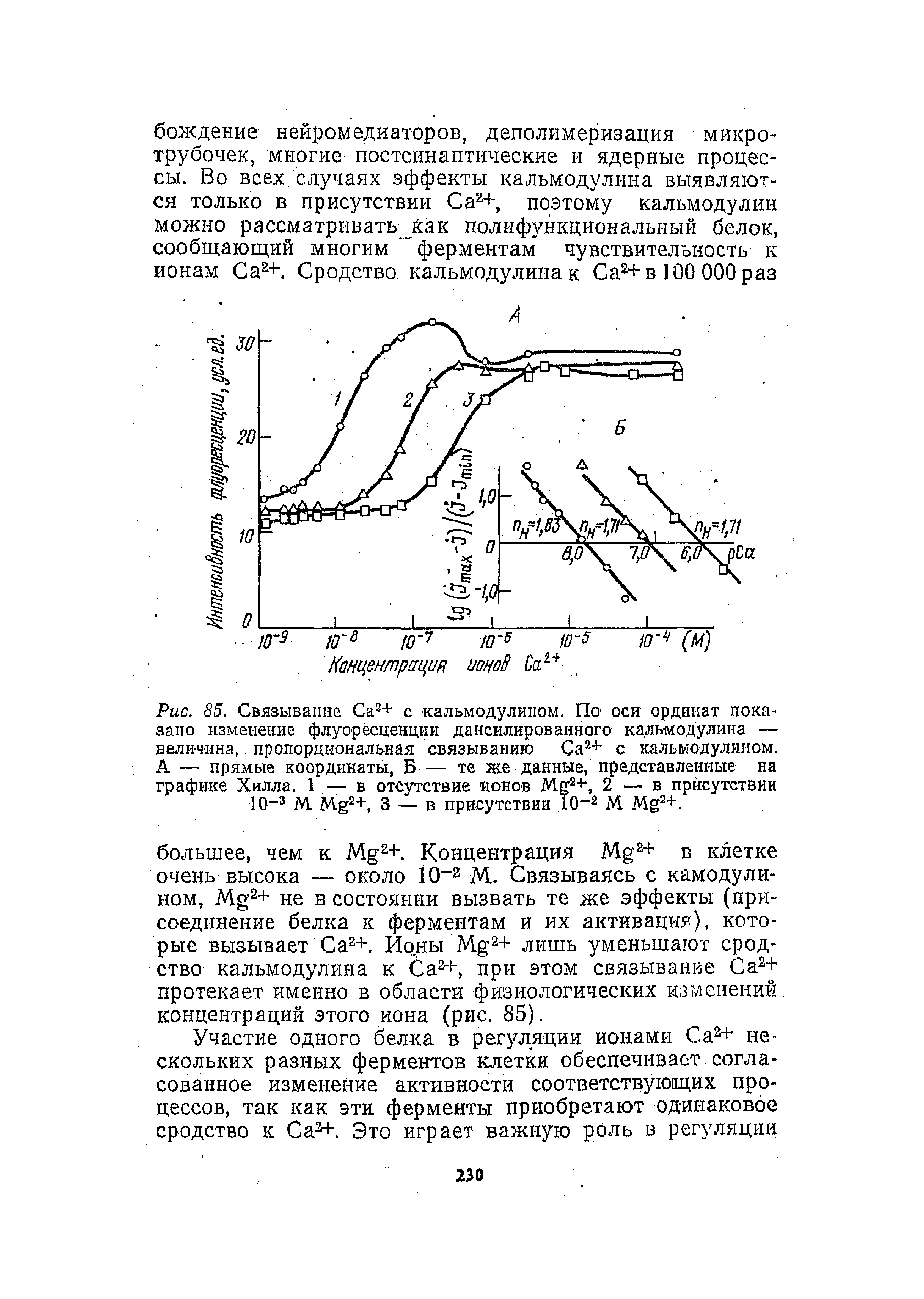 Рис. 85. Связывание Са2+ с кальмодулином. По оси ординат показано изменение флуоресценции дансилированного кальмодулина — величина, пропорциональная связыванию Са2+ с кальмодулином. А —прямые координаты, Б — те же данные, представленные на графике Хилла. 1 — в отсутствие ионов М 2+, 2 — в присутствии 10—3 М. М 2+, 3 — в присутствии 10-2 М Мё2+.