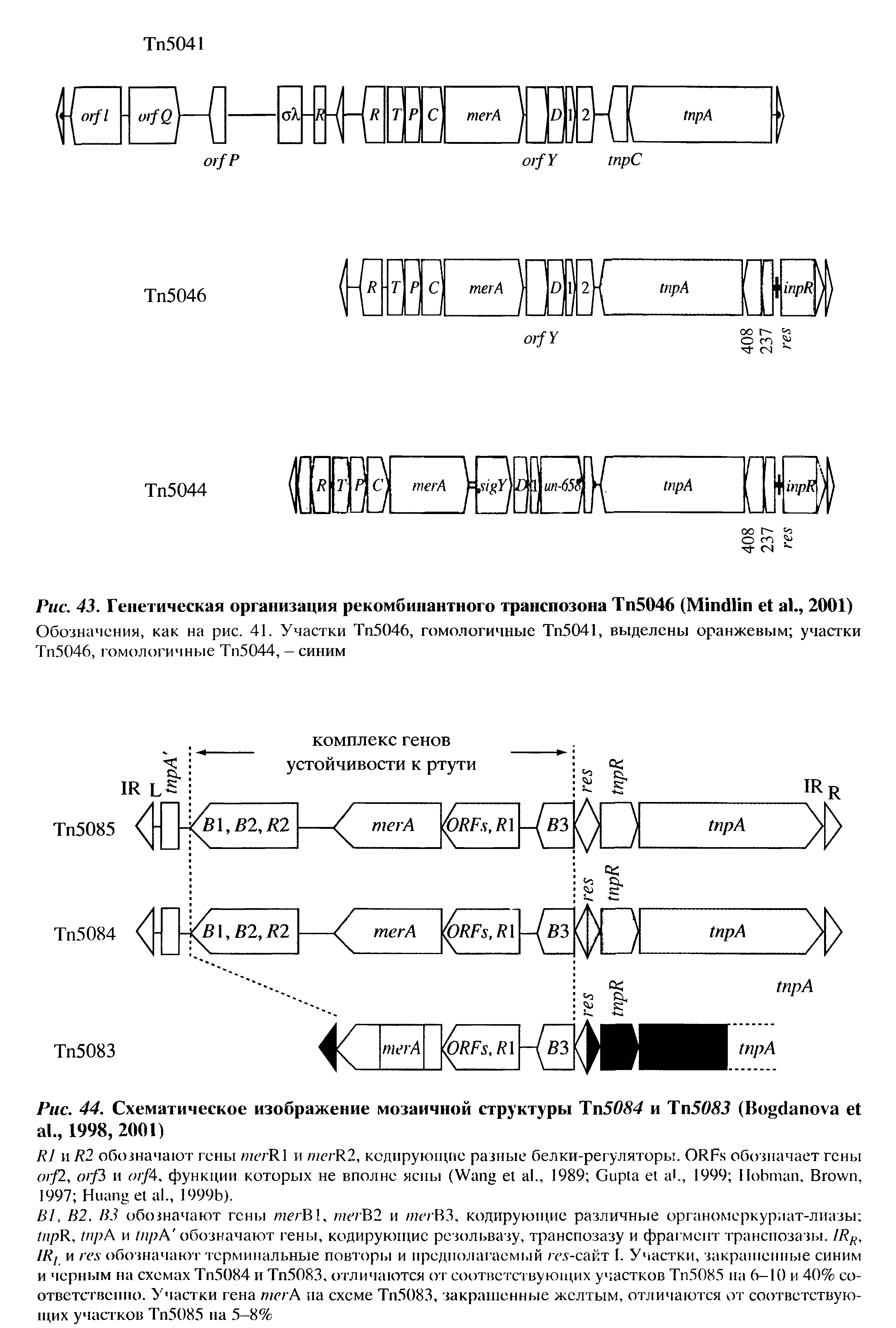 Рис. 44. Схематическое изображение мозаичной структуры Тп50 4 и T 50 3 (B ., 1998, 2001)...