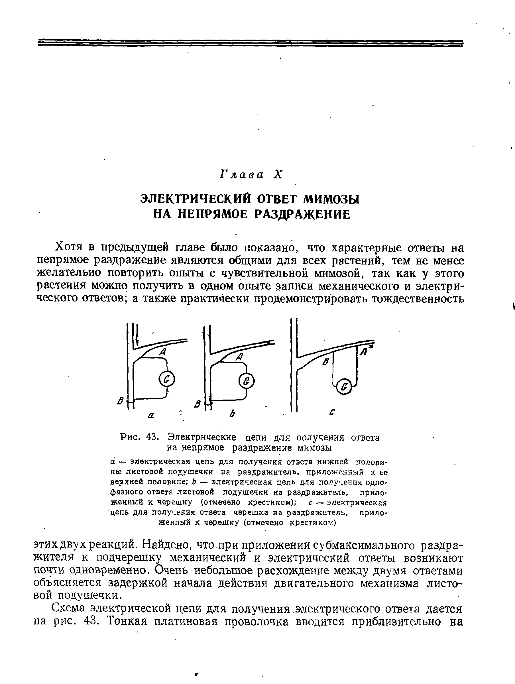 Рис. 43. Электрические цепи для получения ответа на непрямое раздражение мимозы...