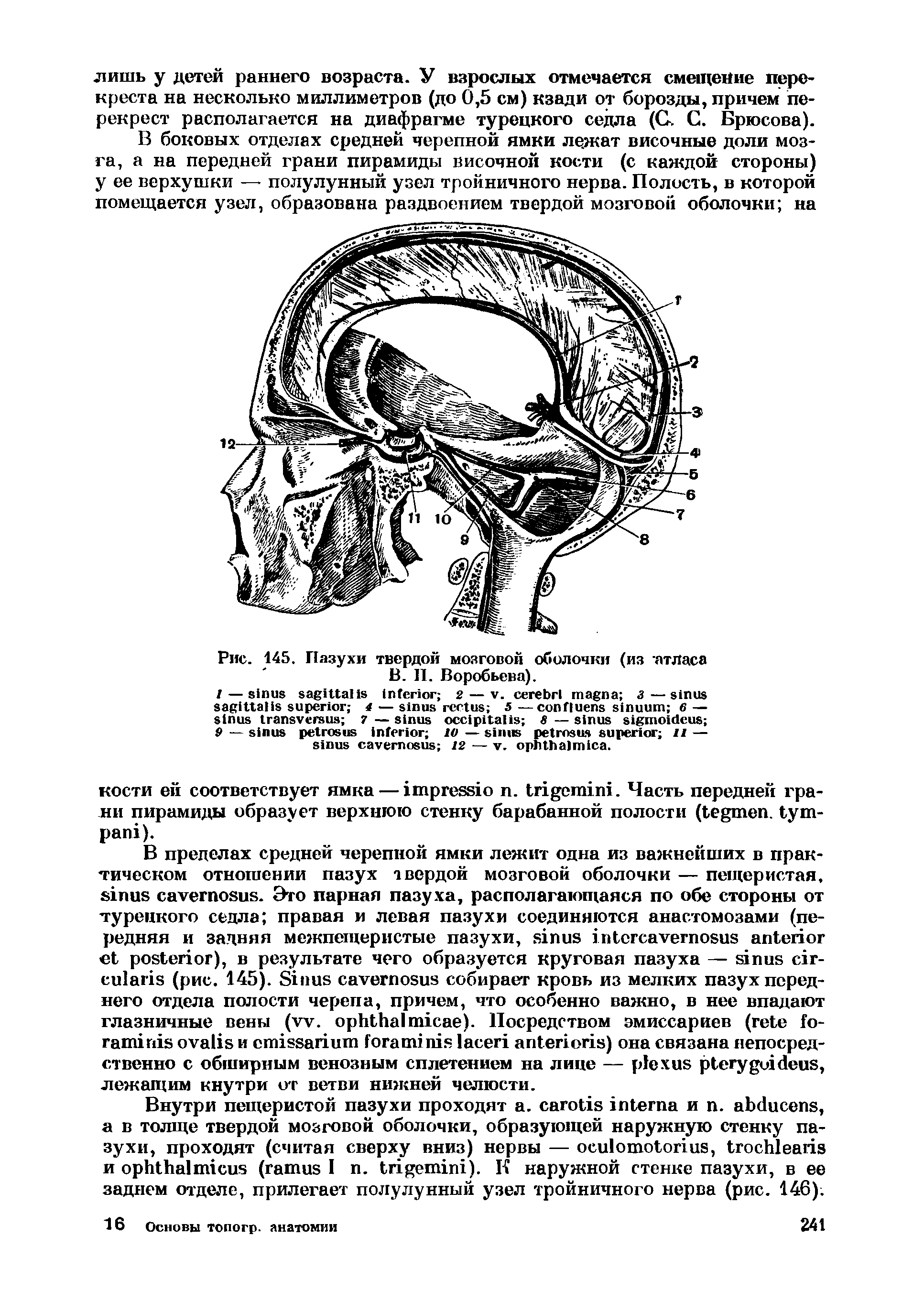 Рис. 145. Пазухи твердой мозговой оболочки (из атласа В. II. Воробьева).