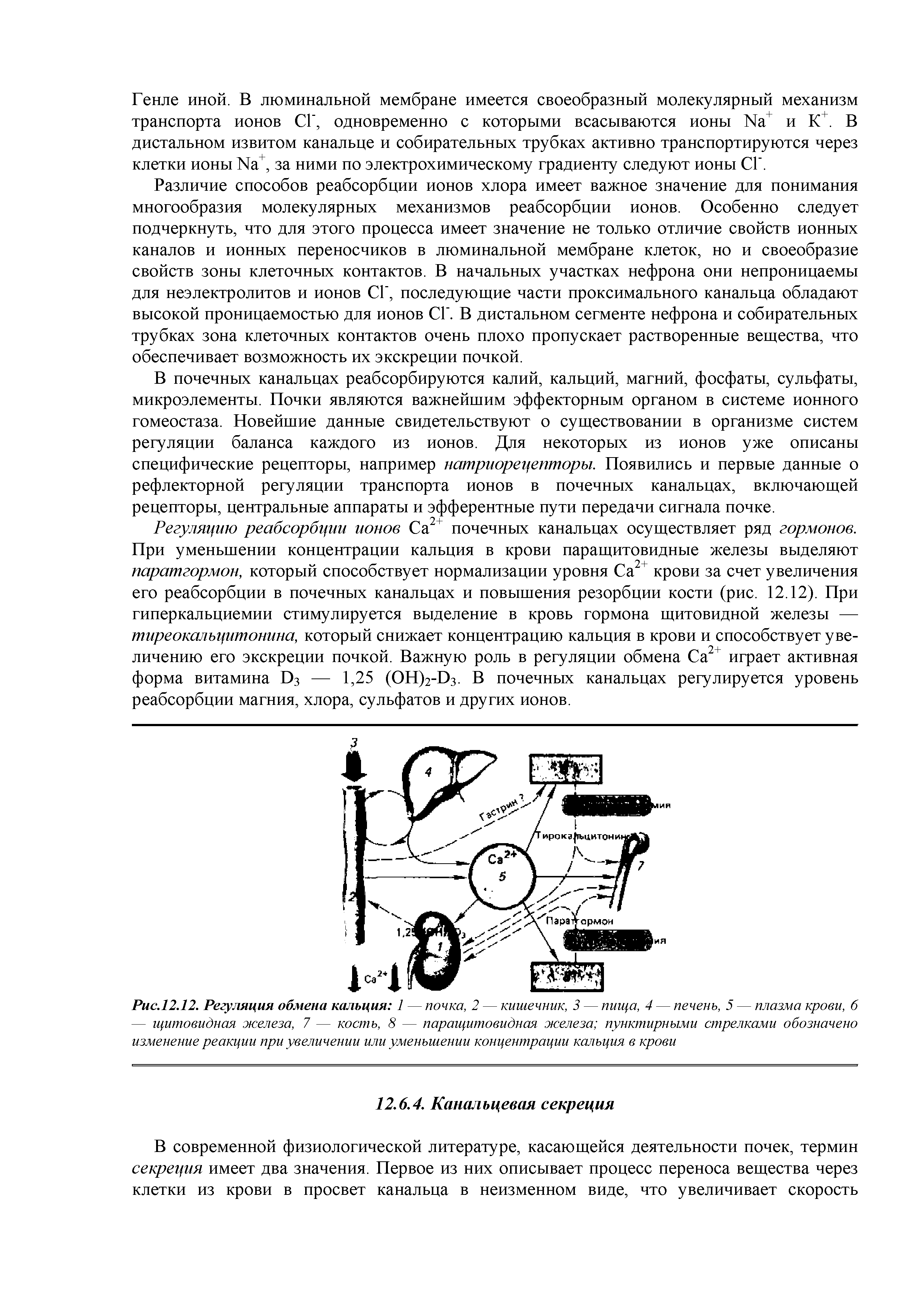 Рис.12.12. Регуляция обмена кальция 1 — почка, 2 — кишечник, 3 — пища, 4 — печень, 5 — плазма крови, 6 — щитовидная железа, 7 — кость, 8 — паращитовидная железа пунктирными стрелками обозначено изменение реакции при увеличении или уменьшении концентрации кальция в крови...