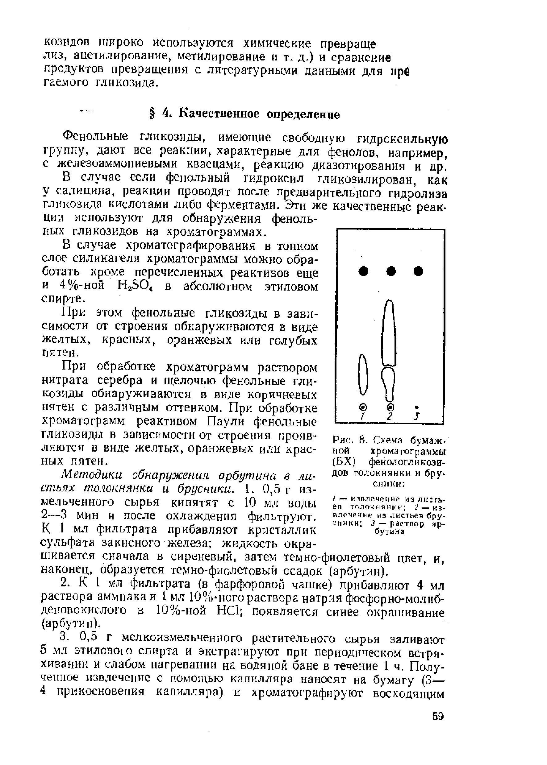 Рис. 8. Схема бумажной хроматограммы (БХ) фенол огл и козидов толокнянки и брусники ...