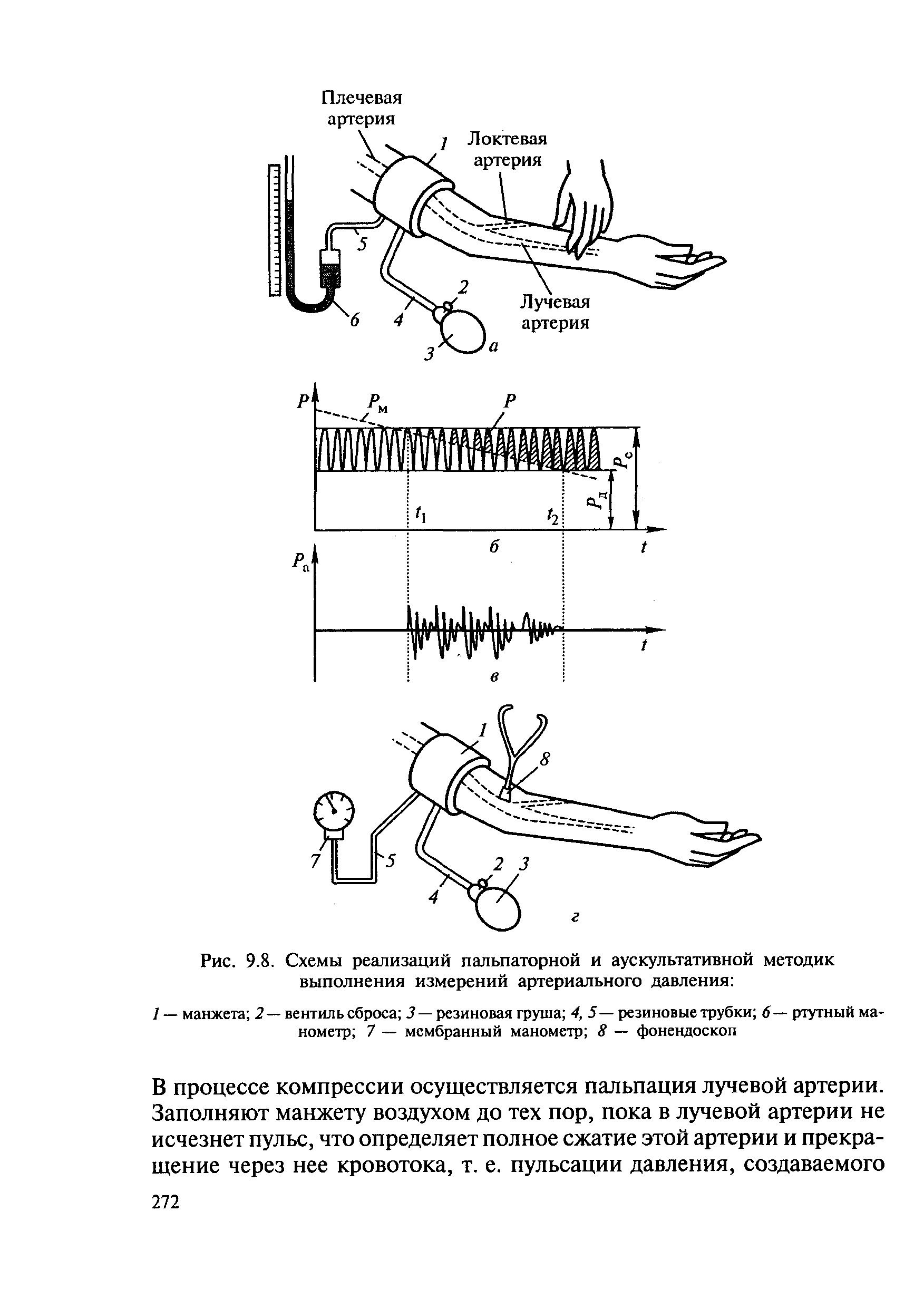 Рис. 9.8. Схемы реализаций пальпаторной и аускультативной методик выполнения измерений артериального давления ...