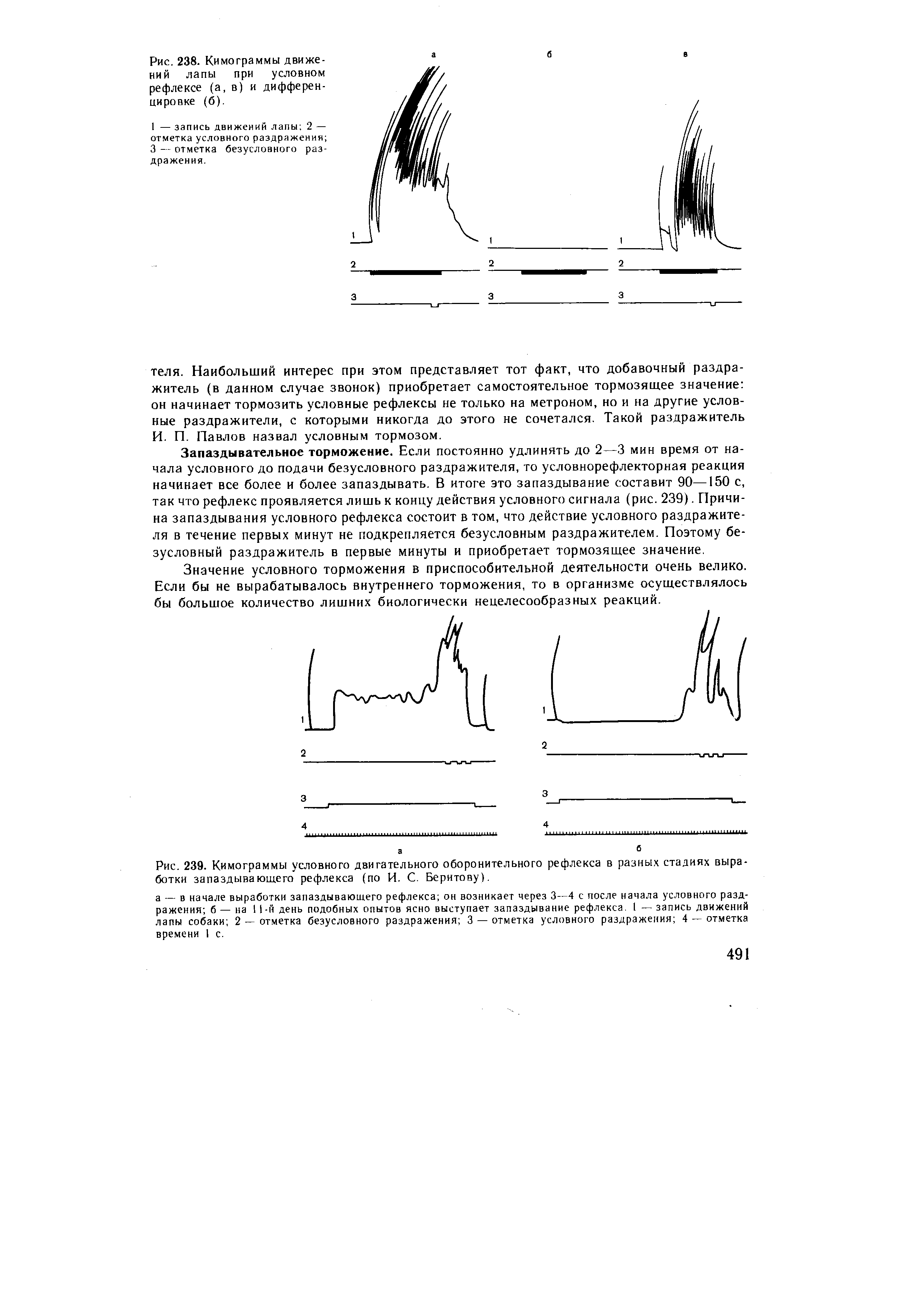 Рис. 239. Кимограммы условного двигательного оборонительного рефлекса в разных стадиях выработки запаздывающего рефлекса (по И. С. Беритову).