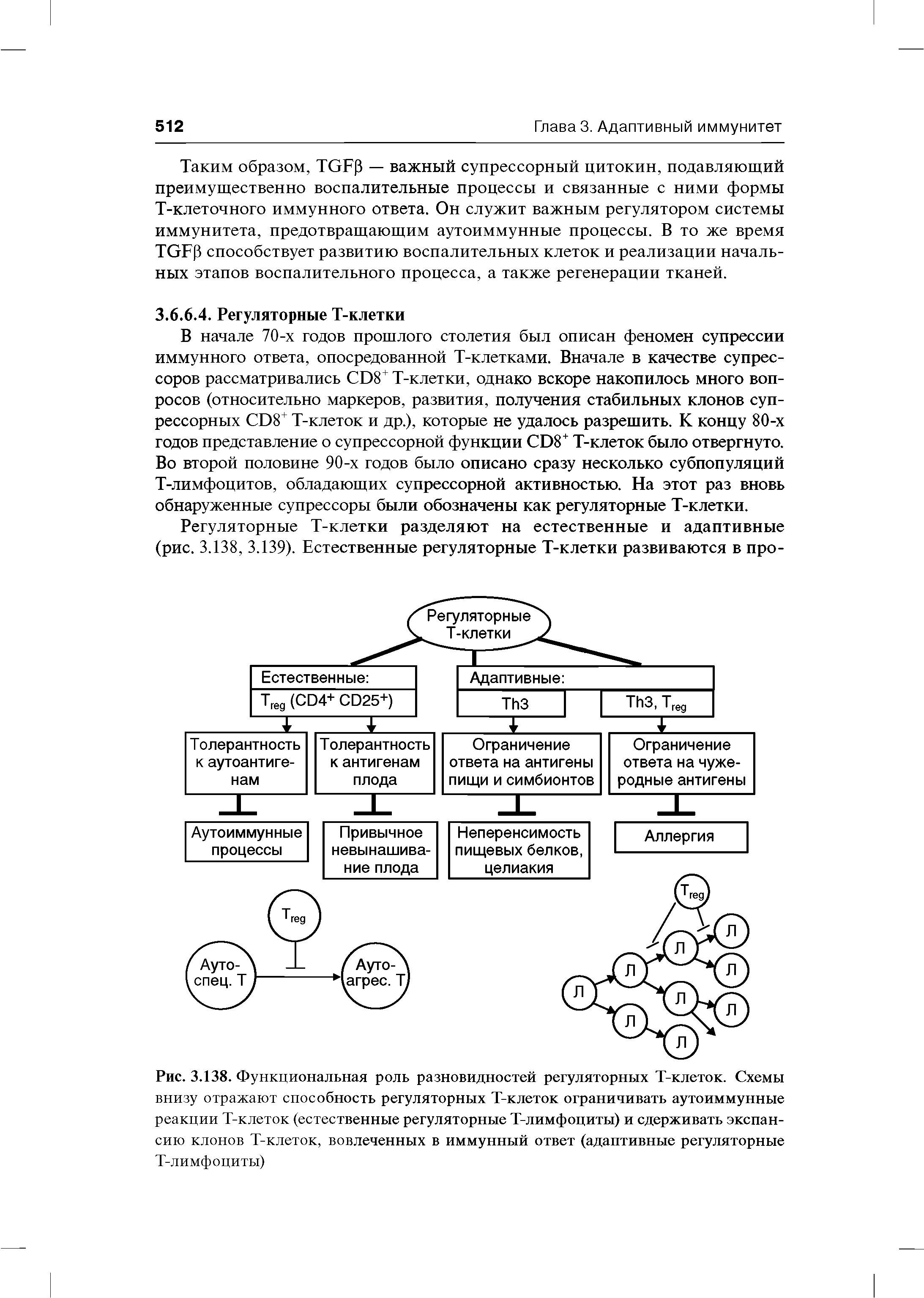 Рис. 3.138. Функциональная роль разновидностей регуляторных Т-клеток. Схемы внизу отражают способность регуляторных Т-клеток ограничивать аутоиммунные реакции Т-клеток (естественные регуляторные Т-лимфоциты) и сдерживать экспансию клонов Т-клеток, вовлеченных в иммунный ответ (адаптивные регуляторные Т-лимфоциты)...