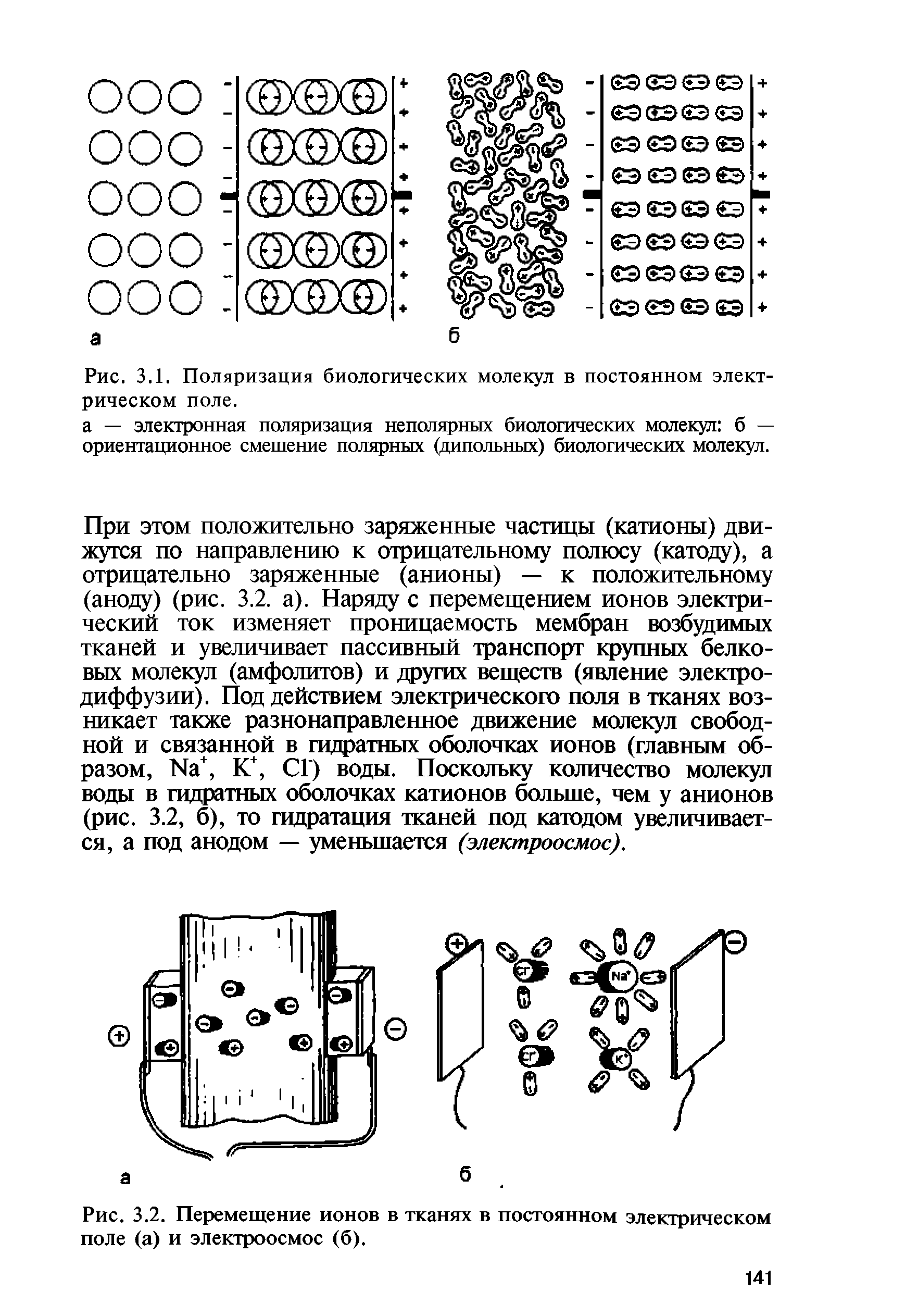 Рис. 3.2. Перемещение ионов в тканях в постоянном электрическом поле (а) и электроосмос (б).