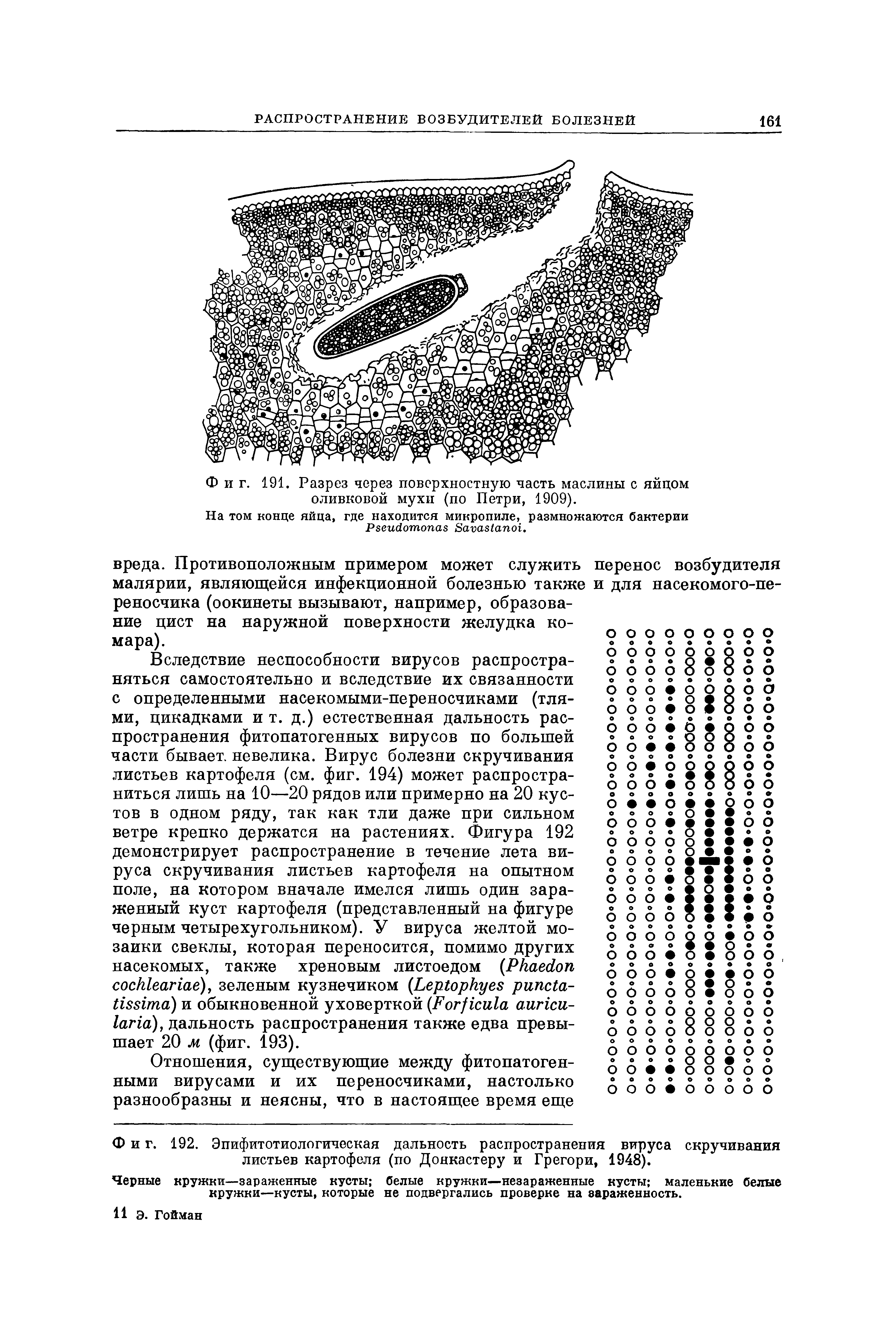 Фиг. 192. Эпифитотио логическая дальность распространения вируса скручивания листьев картофеля (по Донкастеру и Грегори, 1948).