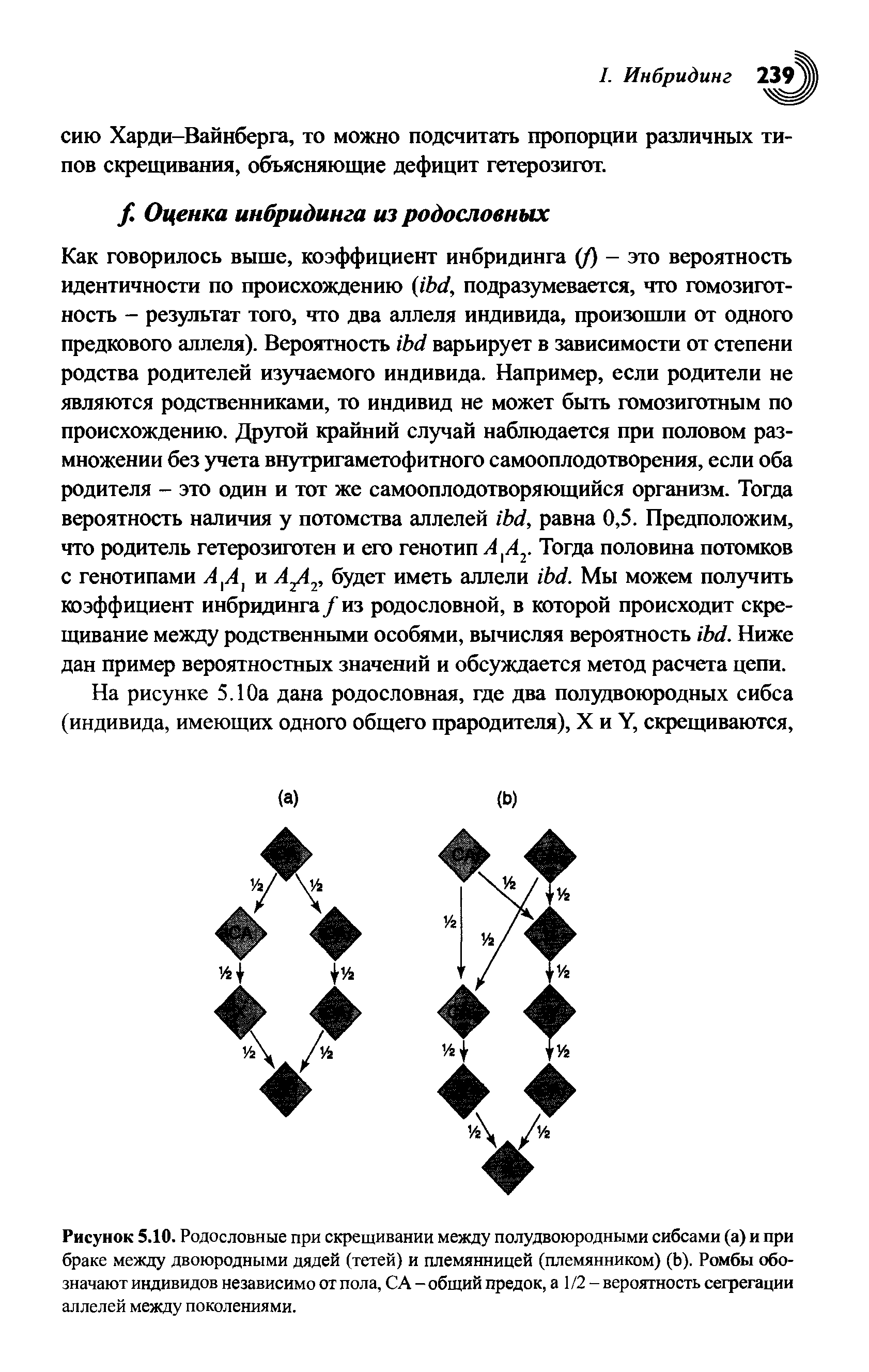 Рисунок 5.10. Родословные при скрещивании между полудвоюродными сибсами (а) и при браке между двоюродными дядей (тетей) и племянницей (племянником) (Ь). Ромбы обозначают индивидов независимо от пола, СА - общий предок, а 1 /2 — вероятность сегрегации аллелей между поколениями.