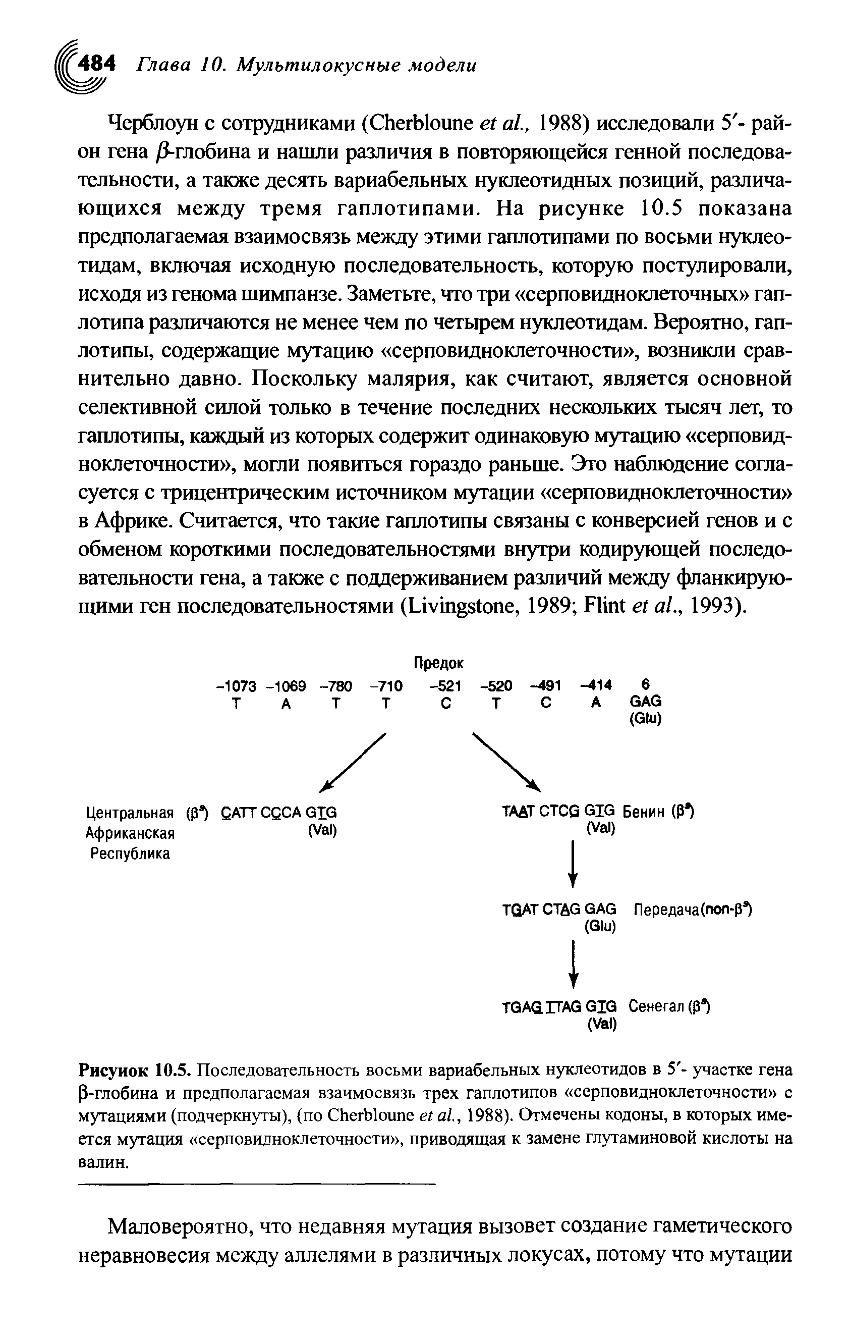 Рисунок 10.5. Последовательность восьми вариабельных нуклеотидов в 5 - участке гена Р-глобина и предполагаемая взаимосвязь трех гаплотипов серповидноклеточности с мутациями (подчеркнуты), (по СЬегЫоипе ег а/., 1988). Отмечены кодоны, в которых имеется мутация серповидноклеточности , приводящая к замене глутаминовой кислоты на валин.