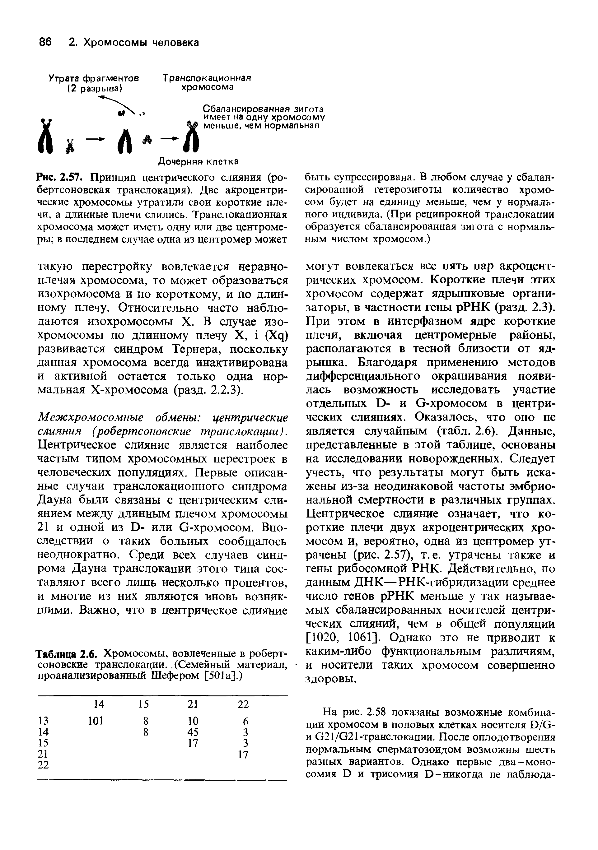 Рис. 2.57. Принцип центрического слияния (робертсоновская транслокация). Две акроцентрические хромосомы утратили свои короткие плечи, а длинные плечи слились. Транслокационная хромосома может иметь одну или две центромеры в последнем случае одна из центромер может...