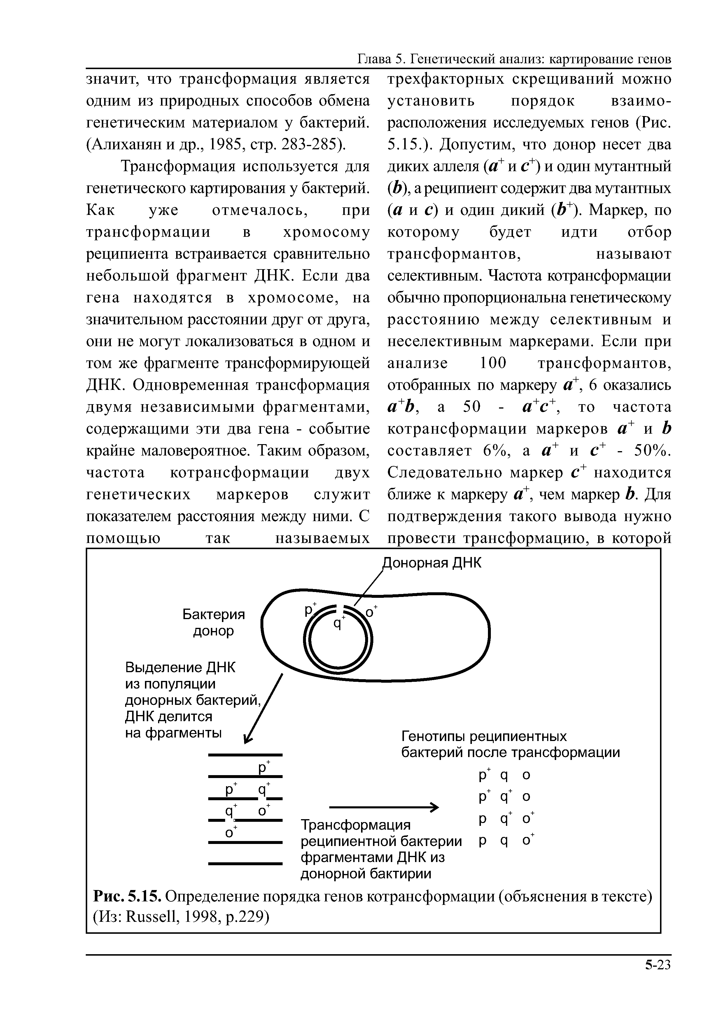 Рис. 5.15. Определение порядка генов котрансформации (объяснения в тексте) (Из R , 1998, р.229)...