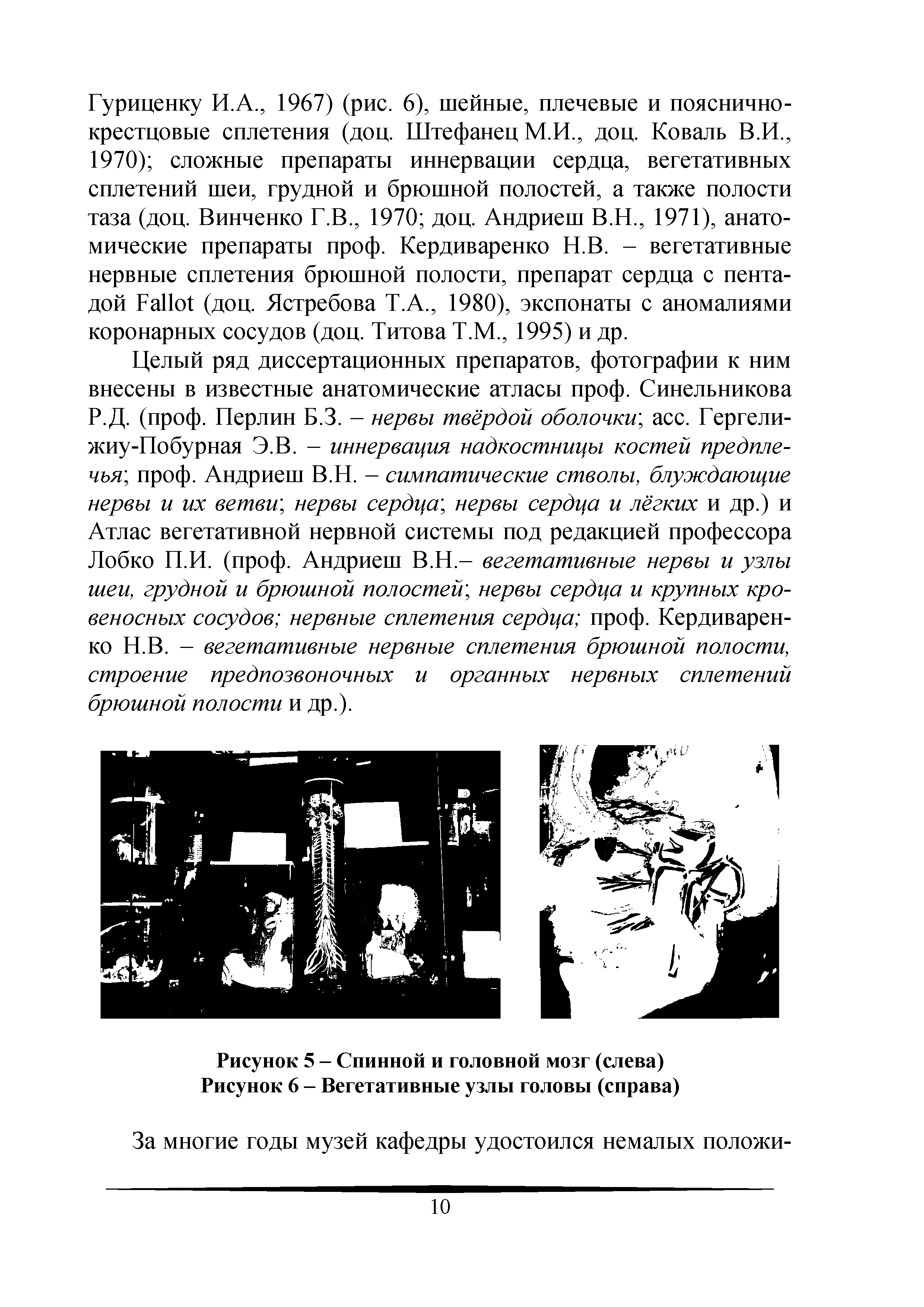 Рисунок 5 - Спинной и головной мозг (слева) Рисунок 6 - Вегетативные узлы головы (справа)...