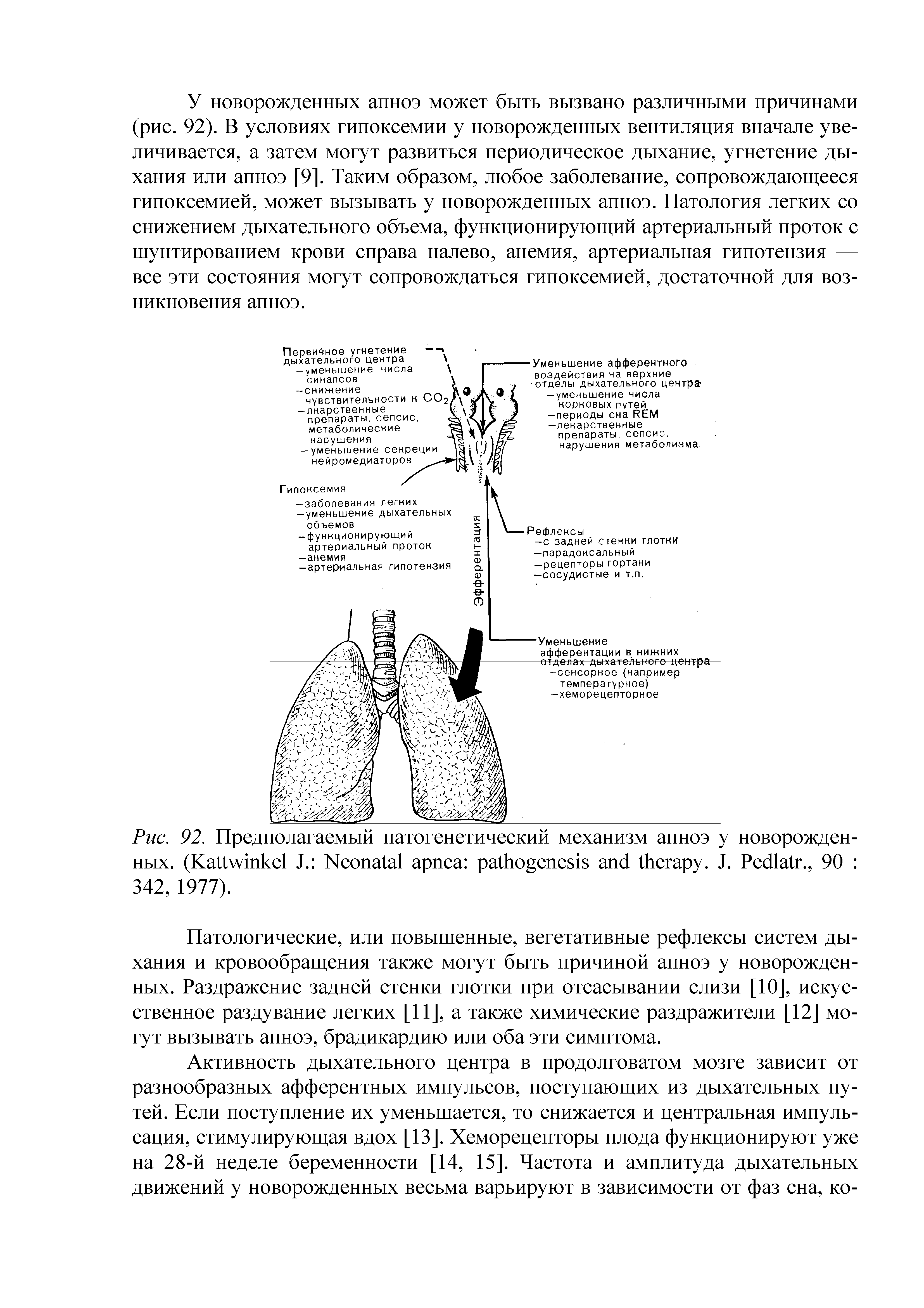 Рис. 92. Предполагаемый патогенетический механизм апноэ у новорожденных. (K J. N . J. P ., 90 ...