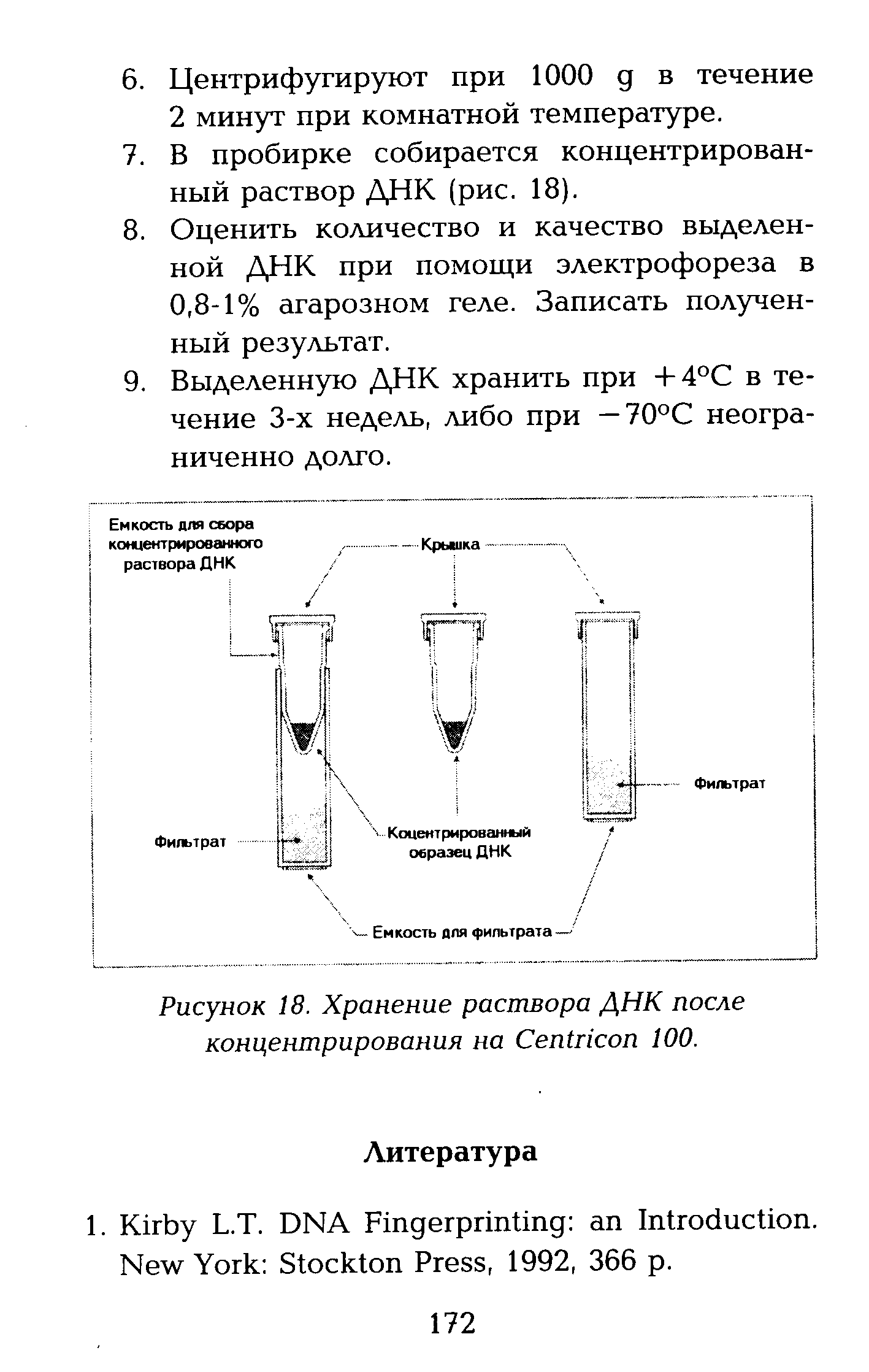 Рисунок 18. Хранение раствора ДНК после концентрирования на C 100.